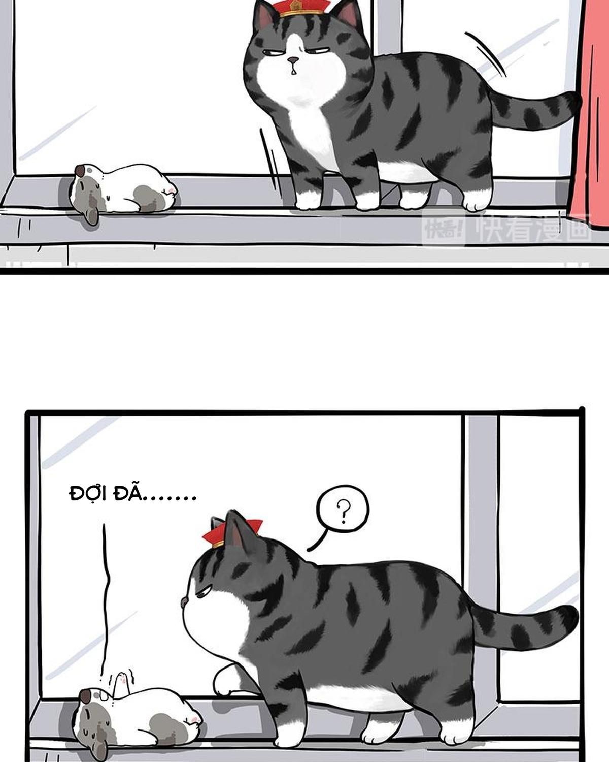 Hoàng Thượng Và Ba Trát Hắc Chapter 269 - Trang 2