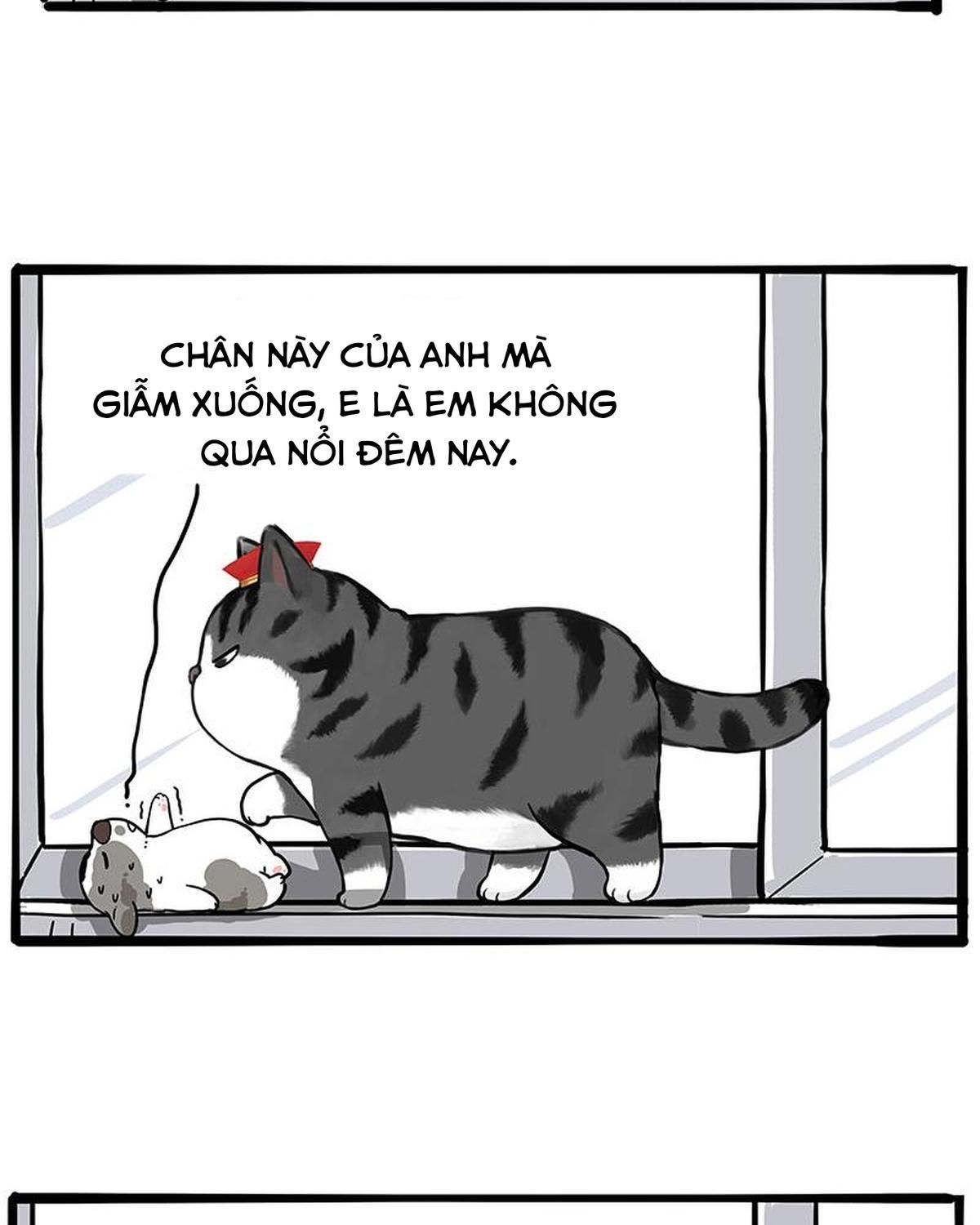 Hoàng Thượng Và Ba Trát Hắc Chapter 269 - Trang 2