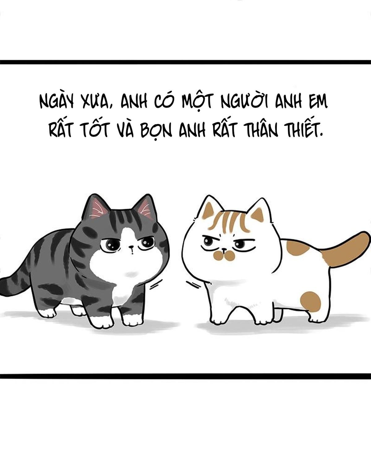 Hoàng Thượng Và Ba Trát Hắc Chapter 269 - Trang 2