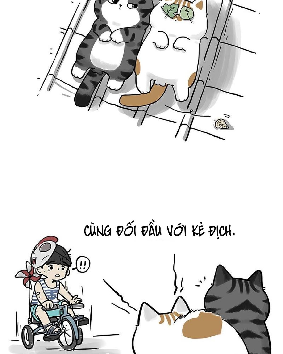 Hoàng Thượng Và Ba Trát Hắc Chapter 269 - Trang 2