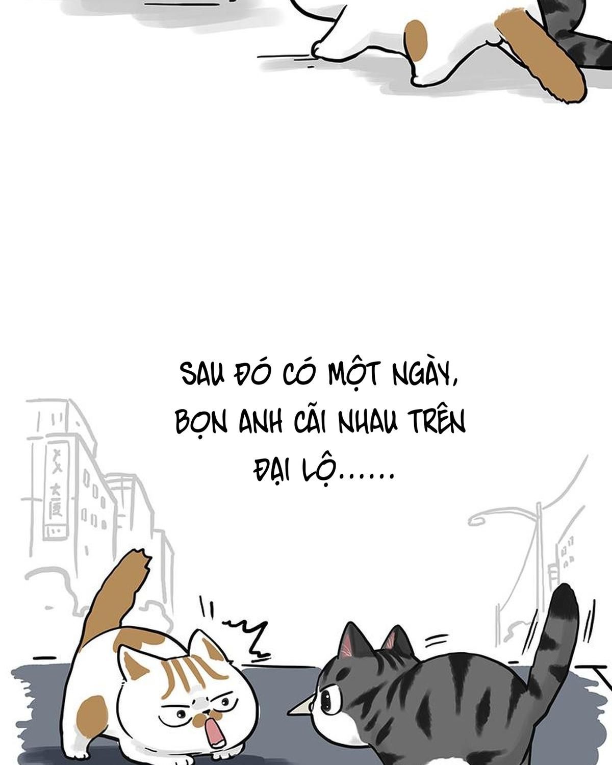 Hoàng Thượng Và Ba Trát Hắc Chapter 269 - Trang 2