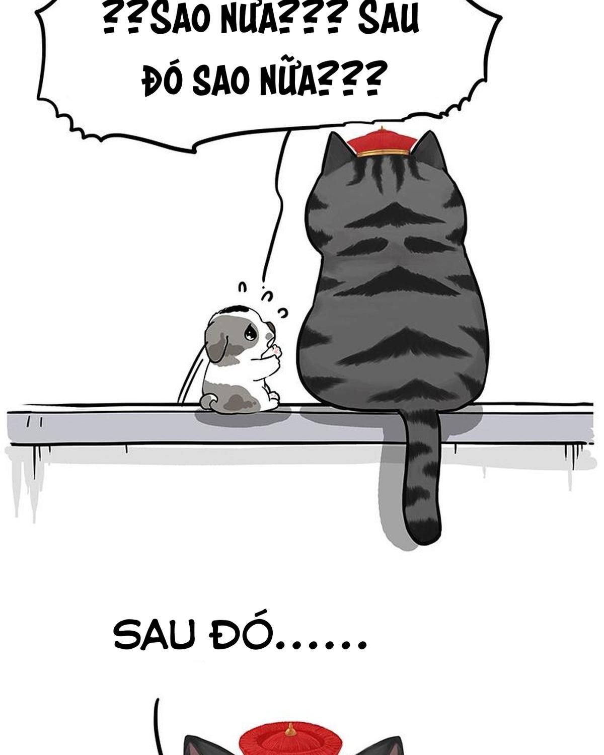 Hoàng Thượng Và Ba Trát Hắc Chapter 269 - Trang 2