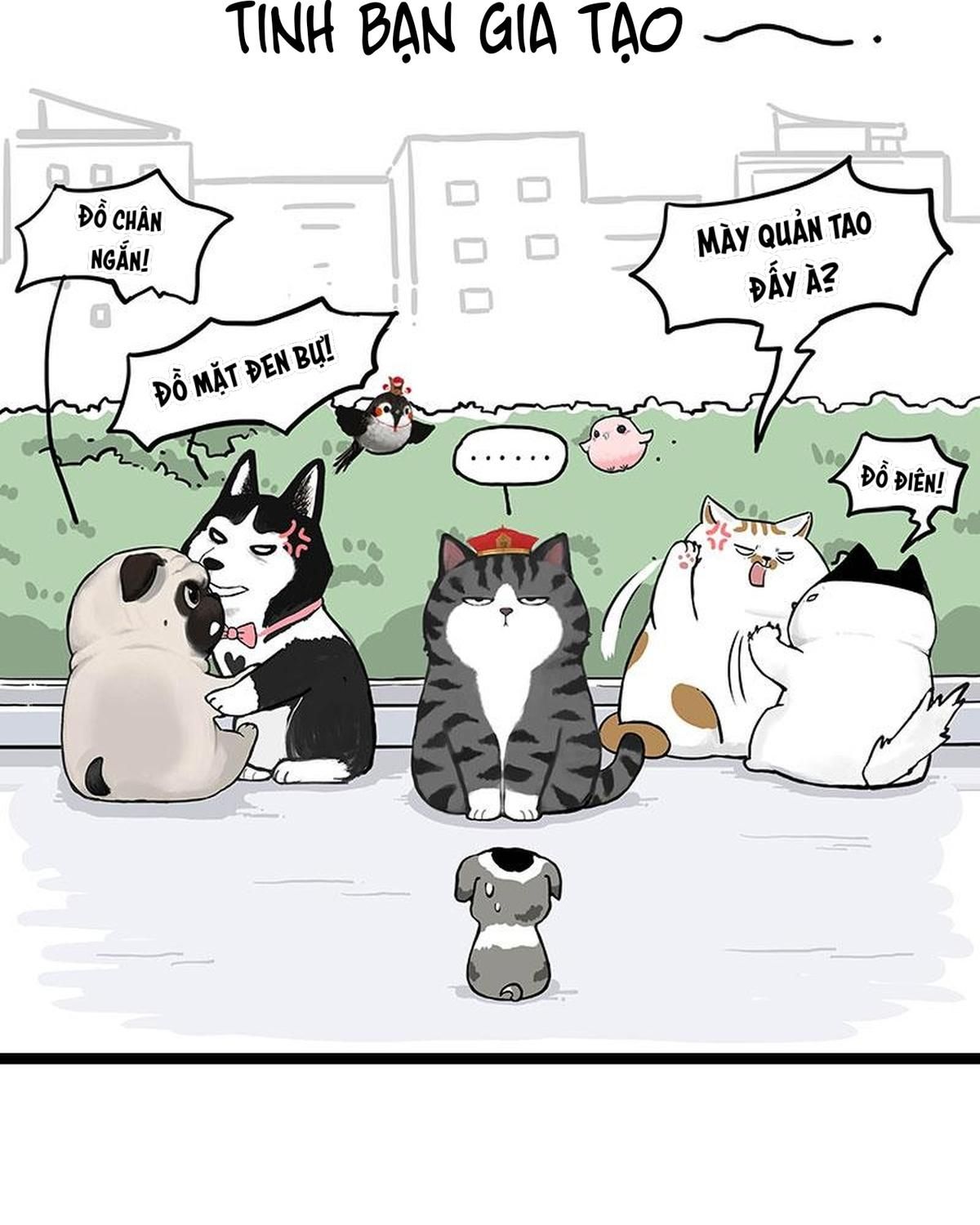 Hoàng Thượng Và Ba Trát Hắc Chapter 269 - Trang 2