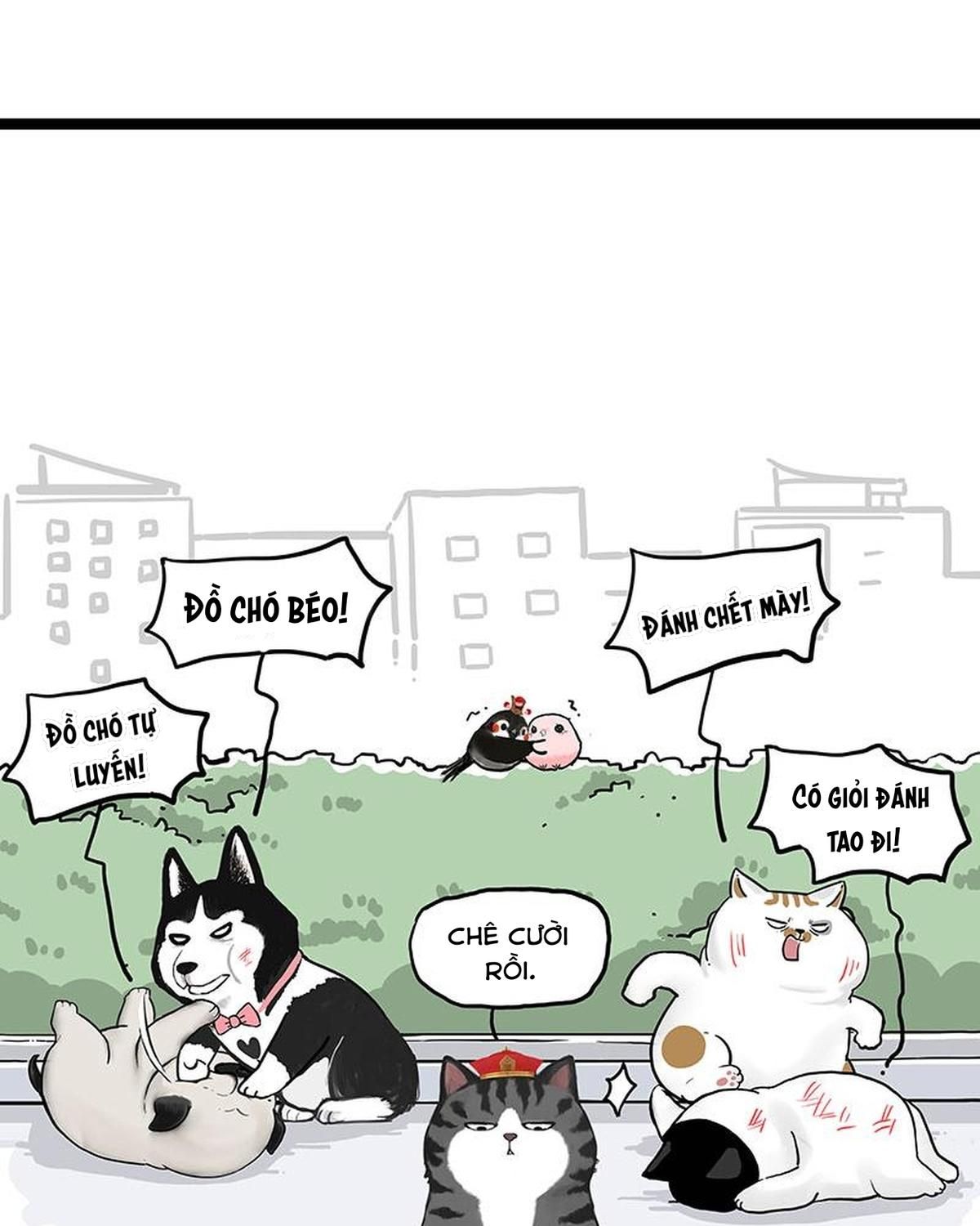 Hoàng Thượng Và Ba Trát Hắc Chapter 269 - Trang 2