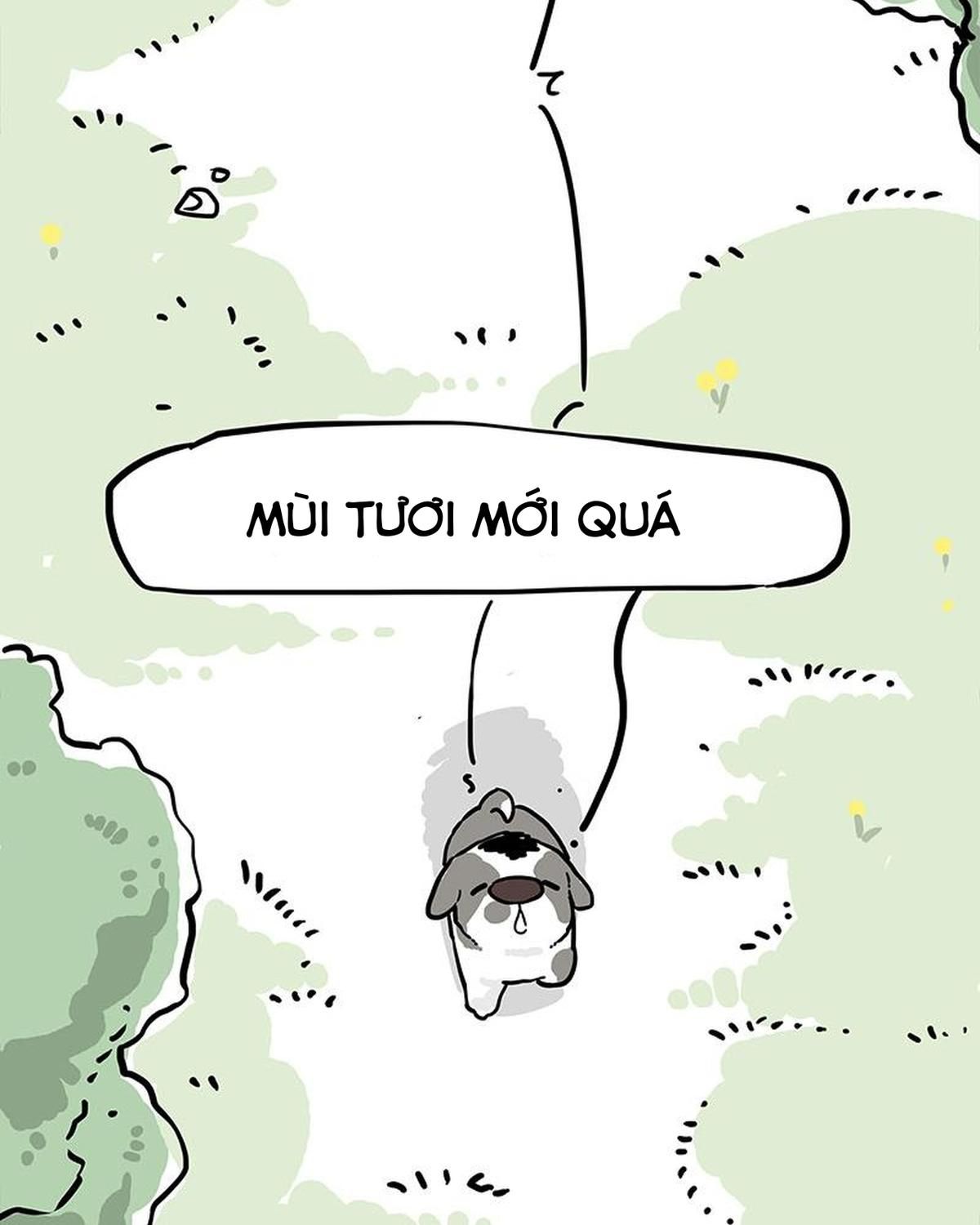 Hoàng Thượng Và Ba Trát Hắc Chapter 270 - Trang 2