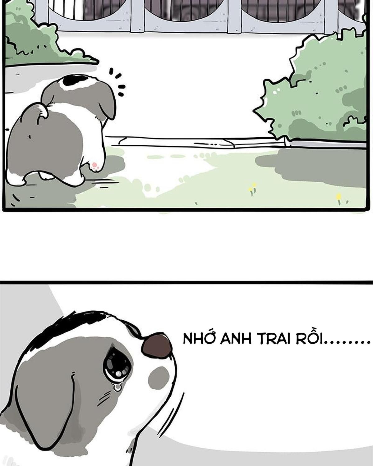 Hoàng Thượng Và Ba Trát Hắc Chapter 270 - Trang 2