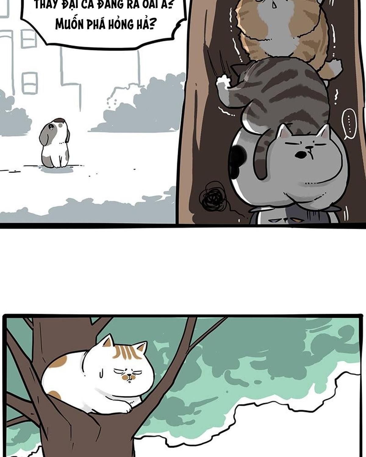 Hoàng Thượng Và Ba Trát Hắc Chapter 270 - Trang 2