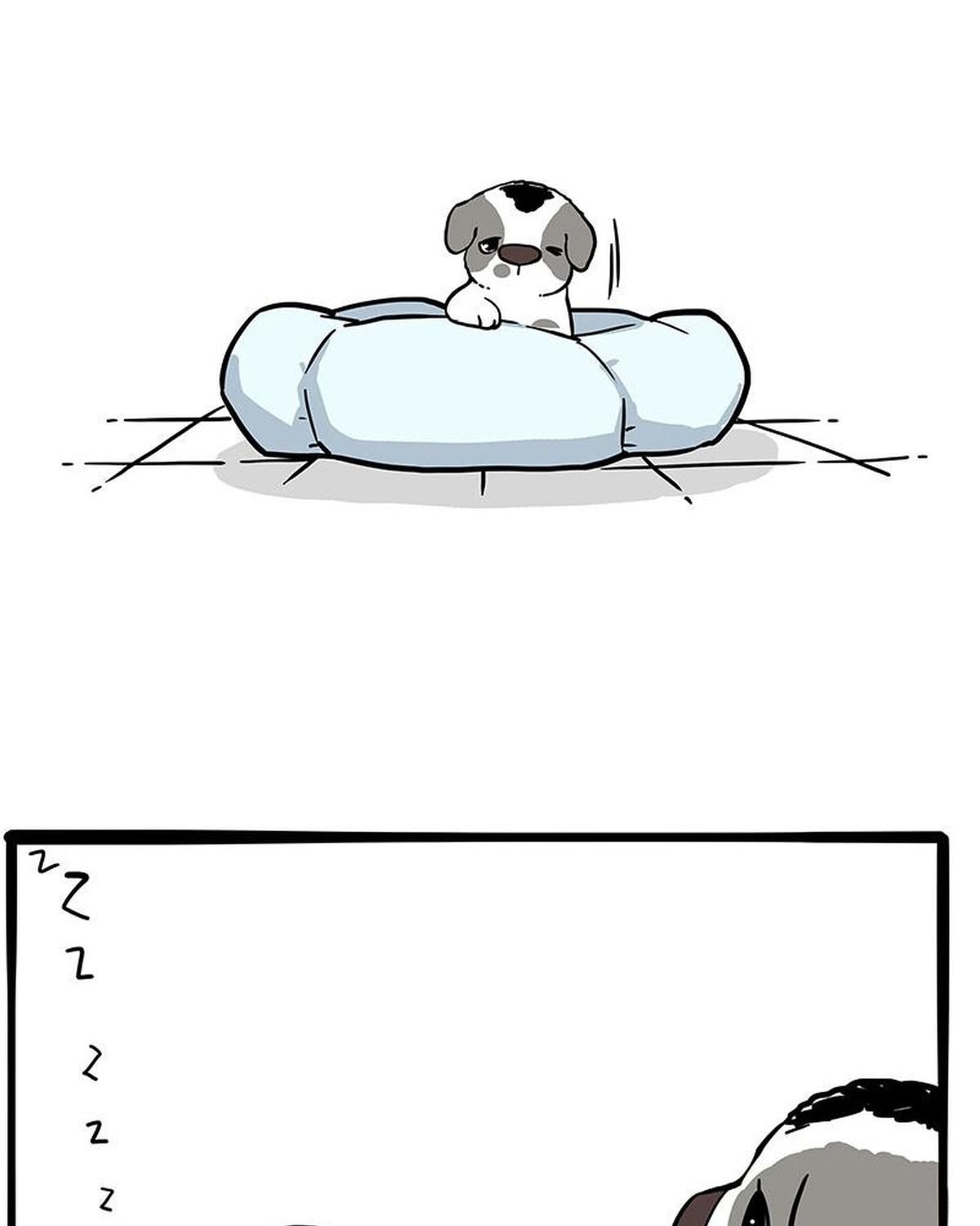 Hoàng Thượng Và Ba Trát Hắc Chapter 270 - Trang 2