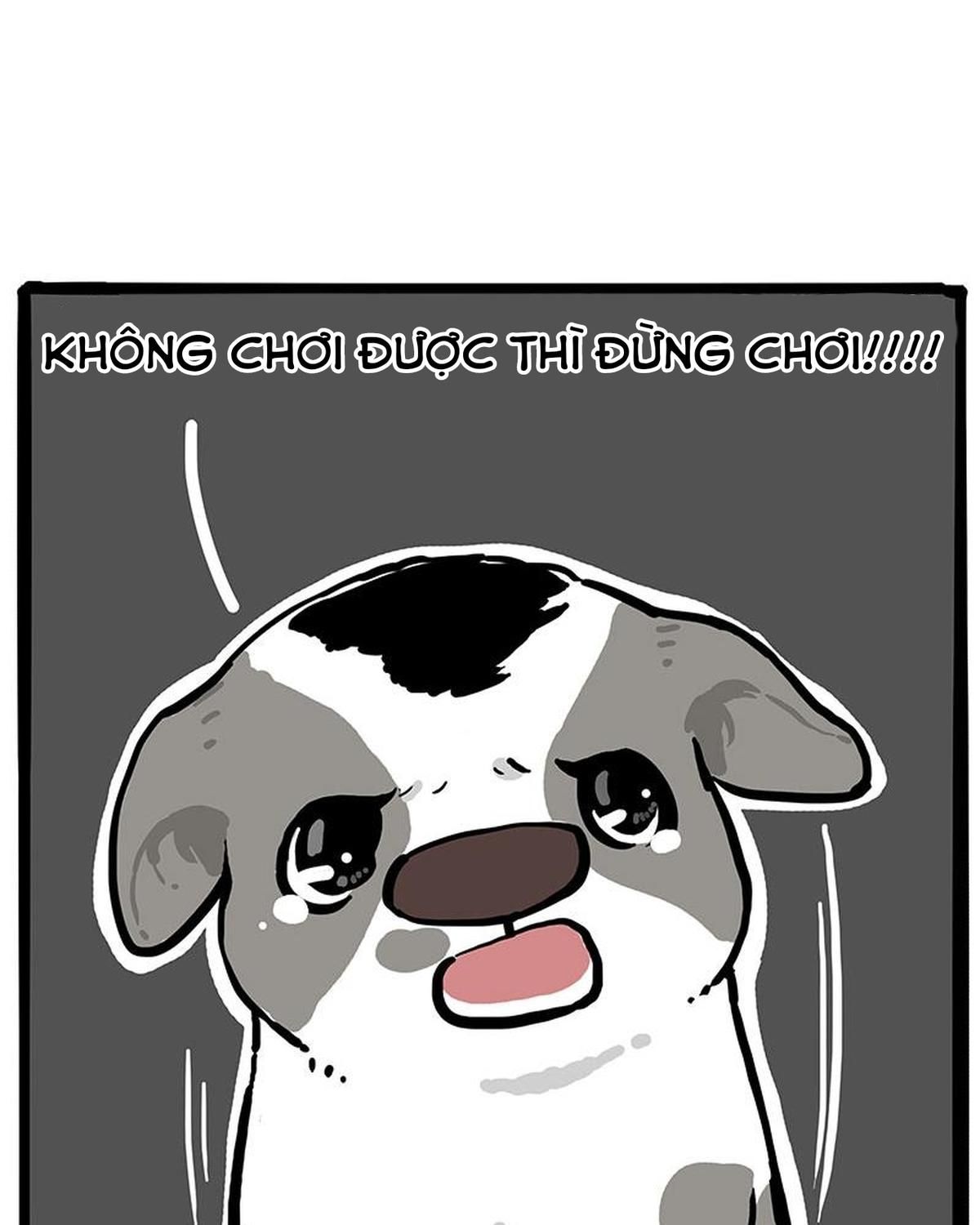 Hoàng Thượng Và Ba Trát Hắc Chapter 270 - Trang 2