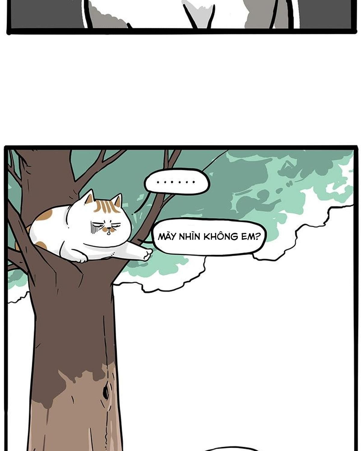 Hoàng Thượng Và Ba Trát Hắc Chapter 270 - Trang 2