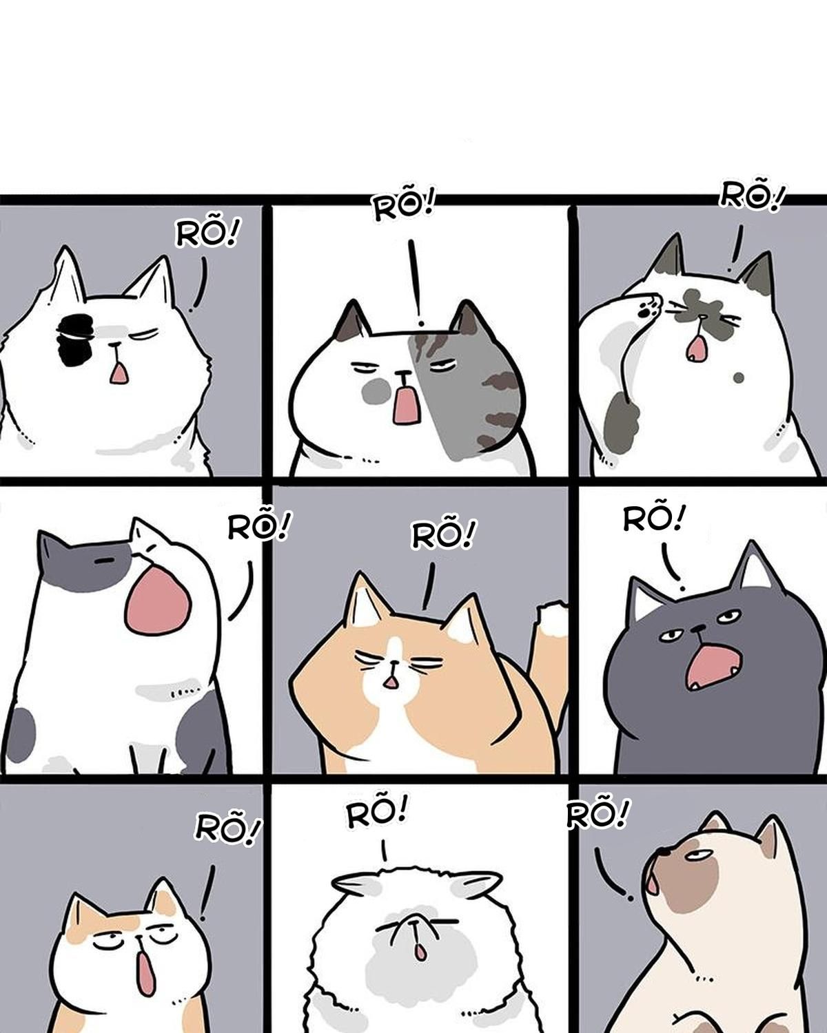 Hoàng Thượng Và Ba Trát Hắc Chapter 271 - Trang 2