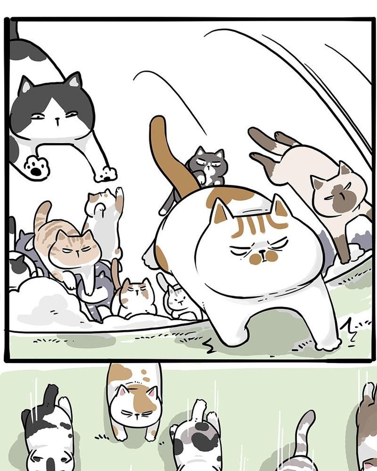 Hoàng Thượng Và Ba Trát Hắc Chapter 271 - Trang 2