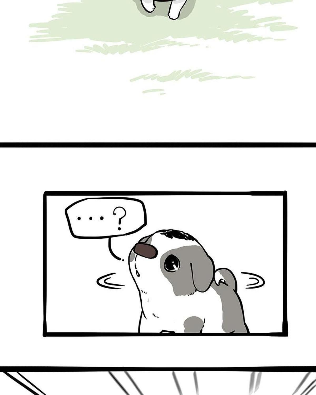 Hoàng Thượng Và Ba Trát Hắc Chapter 271 - Trang 2