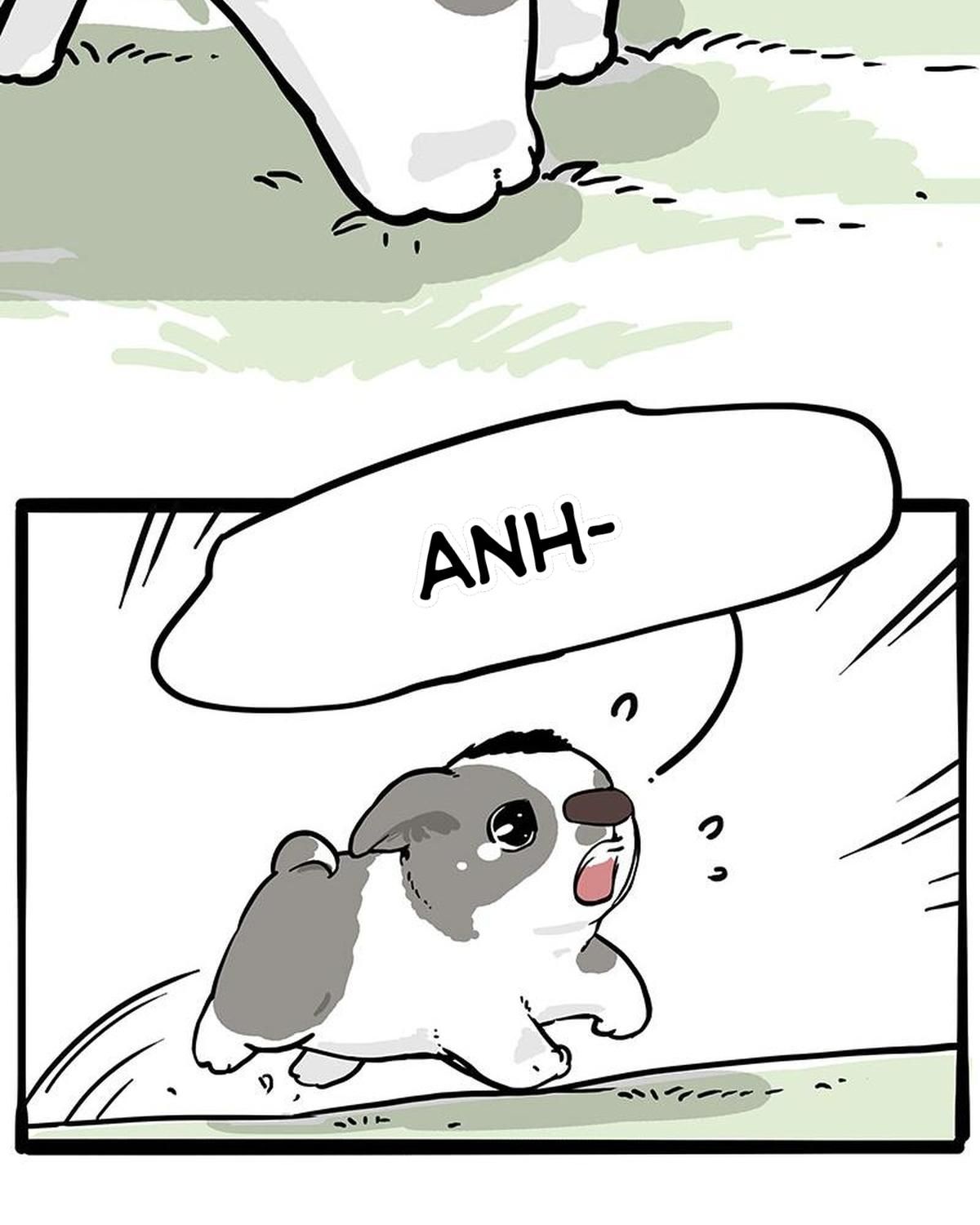 Hoàng Thượng Và Ba Trát Hắc Chapter 271 - Trang 2