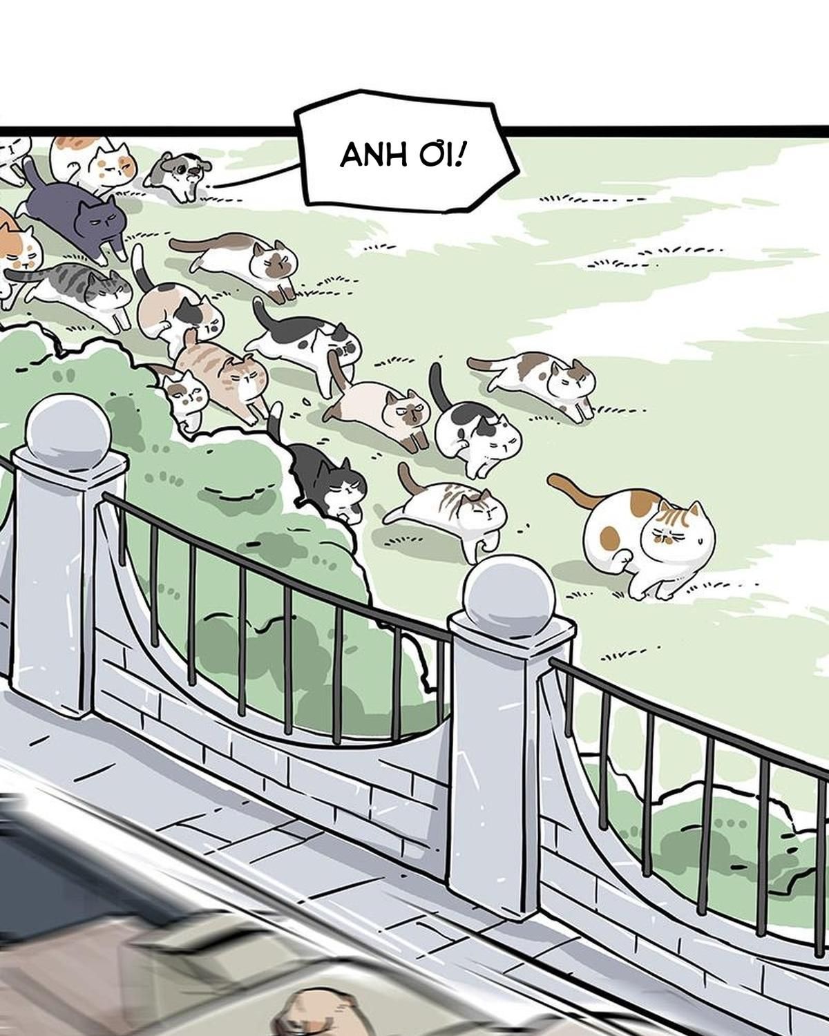 Hoàng Thượng Và Ba Trát Hắc Chapter 271 - Trang 2