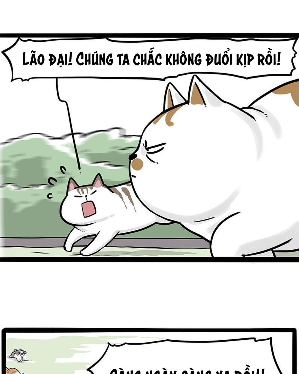 Hoàng Thượng Và Ba Trát Hắc Chapter 271 - Trang 2