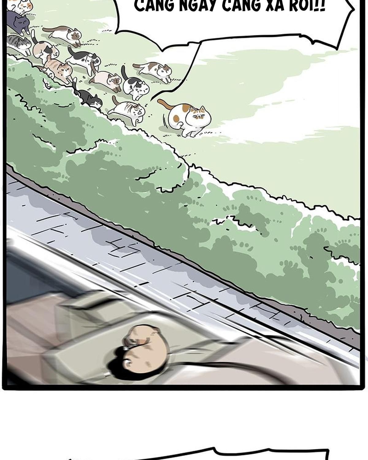 Hoàng Thượng Và Ba Trát Hắc Chapter 271 - Trang 2