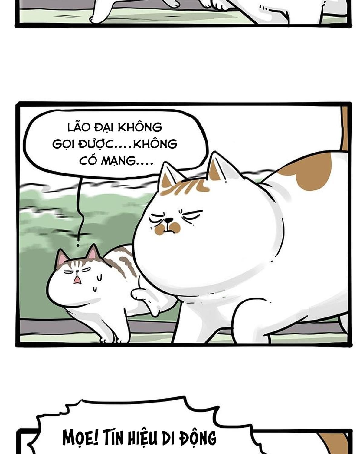 Hoàng Thượng Và Ba Trát Hắc Chapter 271 - Trang 2