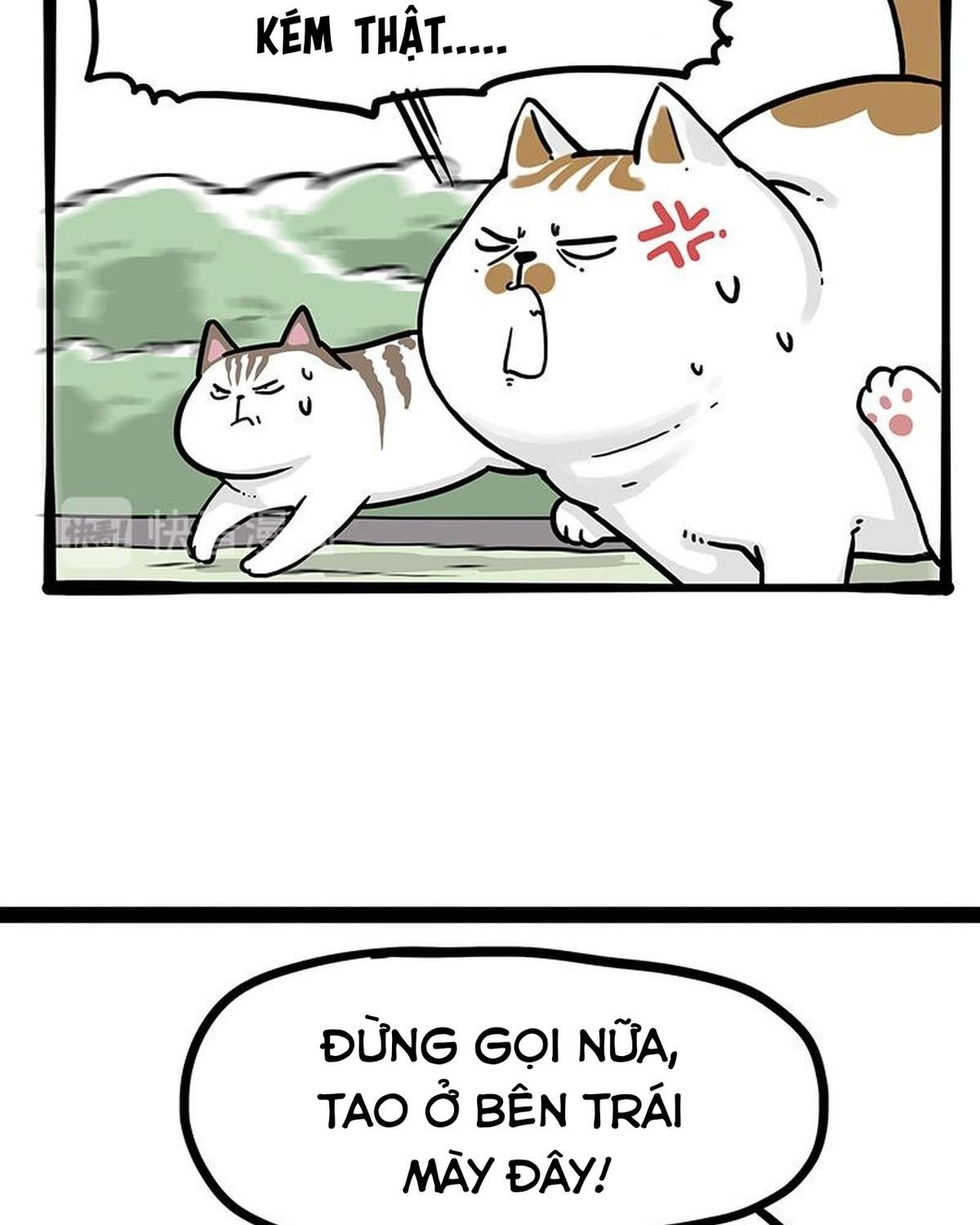 Hoàng Thượng Và Ba Trát Hắc Chapter 271 - Trang 2