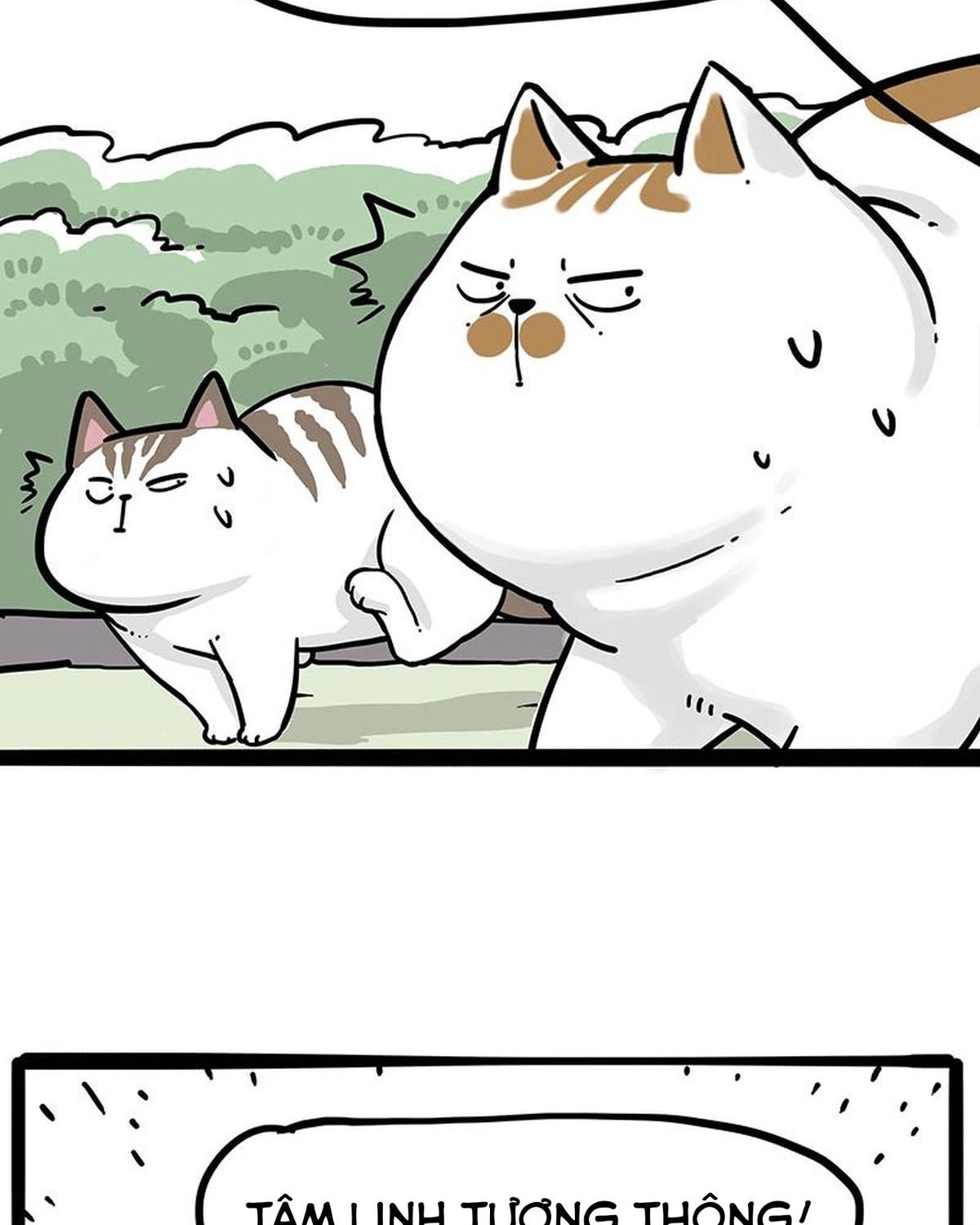 Hoàng Thượng Và Ba Trát Hắc Chapter 271 - Trang 2