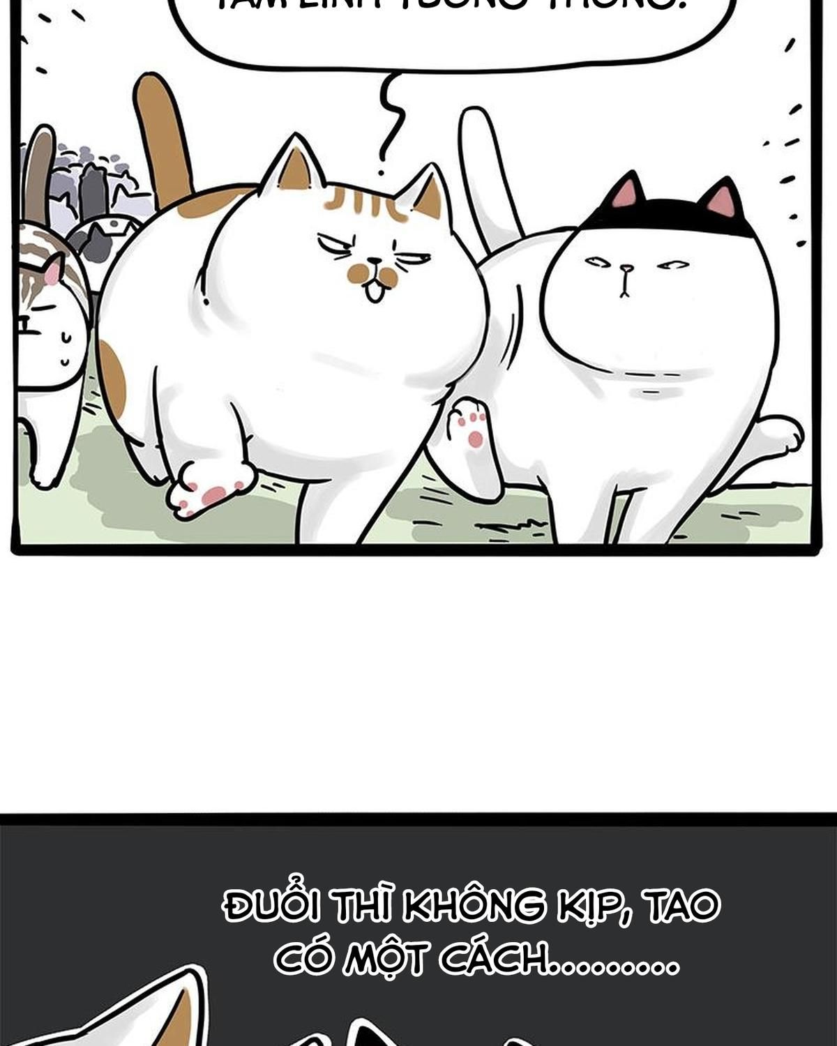 Hoàng Thượng Và Ba Trát Hắc Chapter 271 - Trang 2
