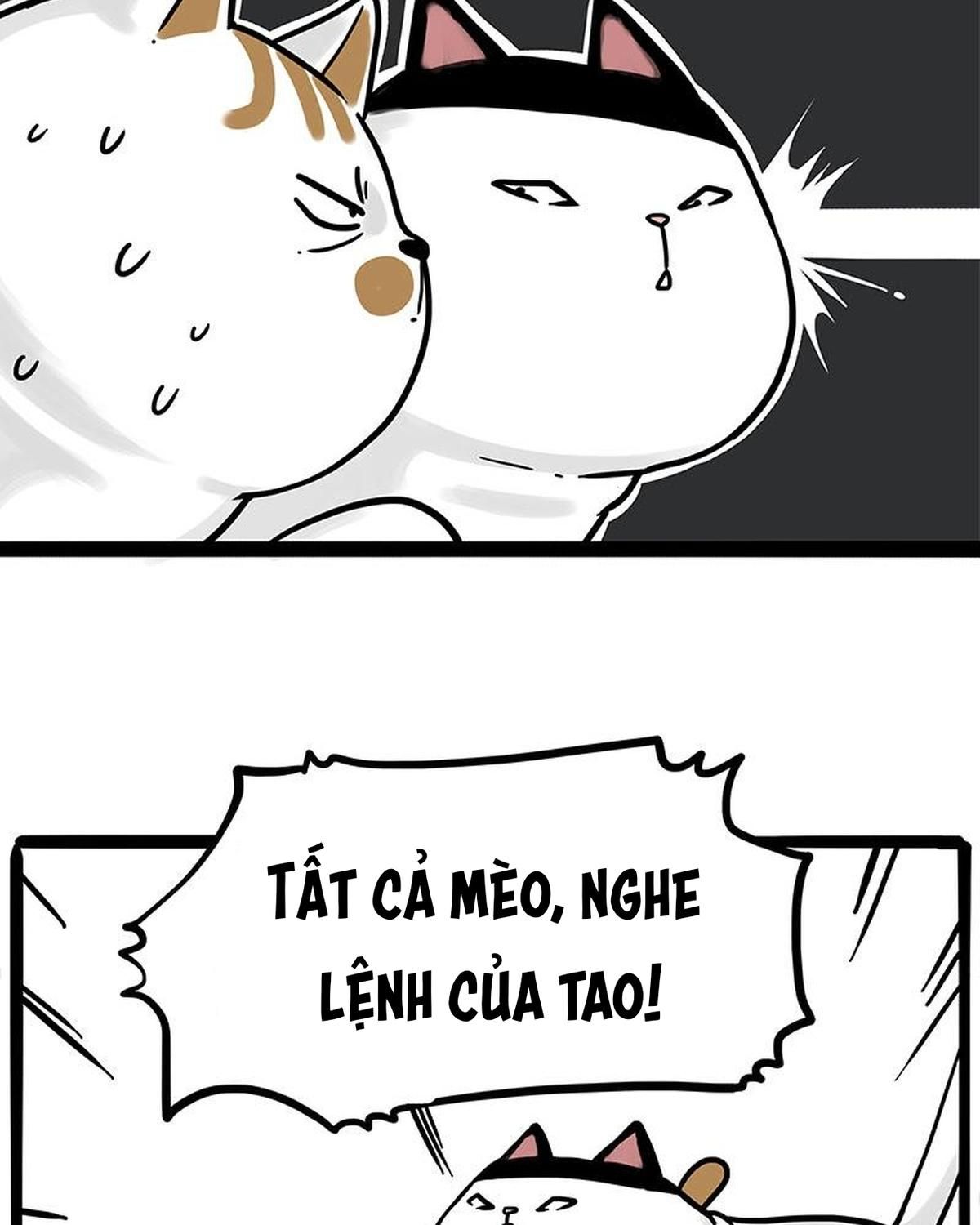 Hoàng Thượng Và Ba Trát Hắc Chapter 271 - Trang 2