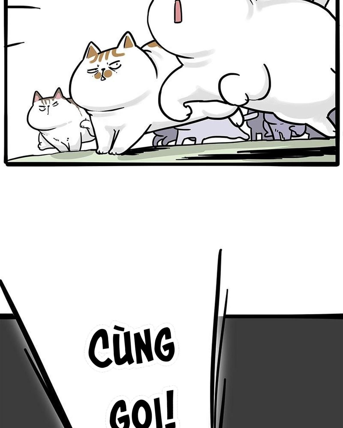 Hoàng Thượng Và Ba Trát Hắc Chapter 271 - Trang 2