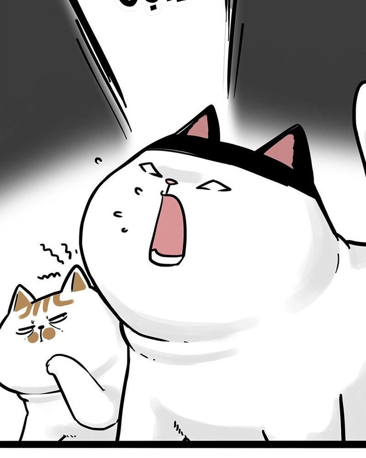 Hoàng Thượng Và Ba Trát Hắc Chapter 271 - Trang 2