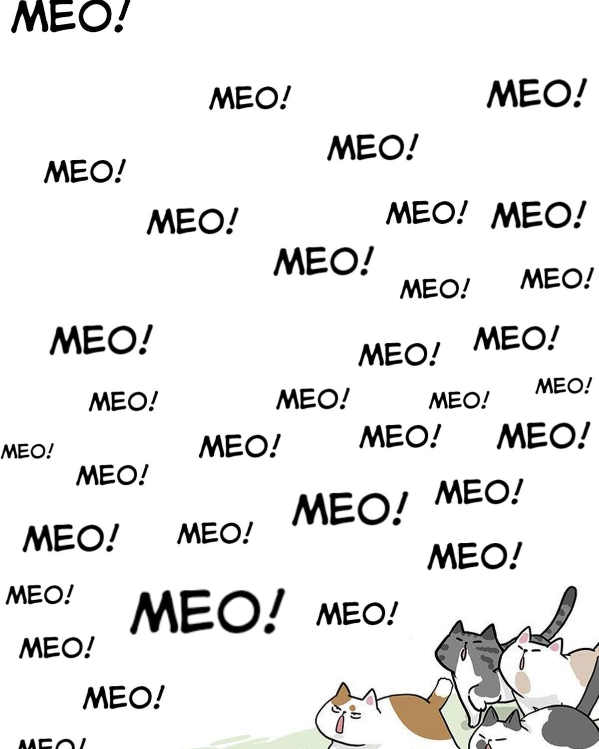 Hoàng Thượng Và Ba Trát Hắc Chapter 271 - Trang 2