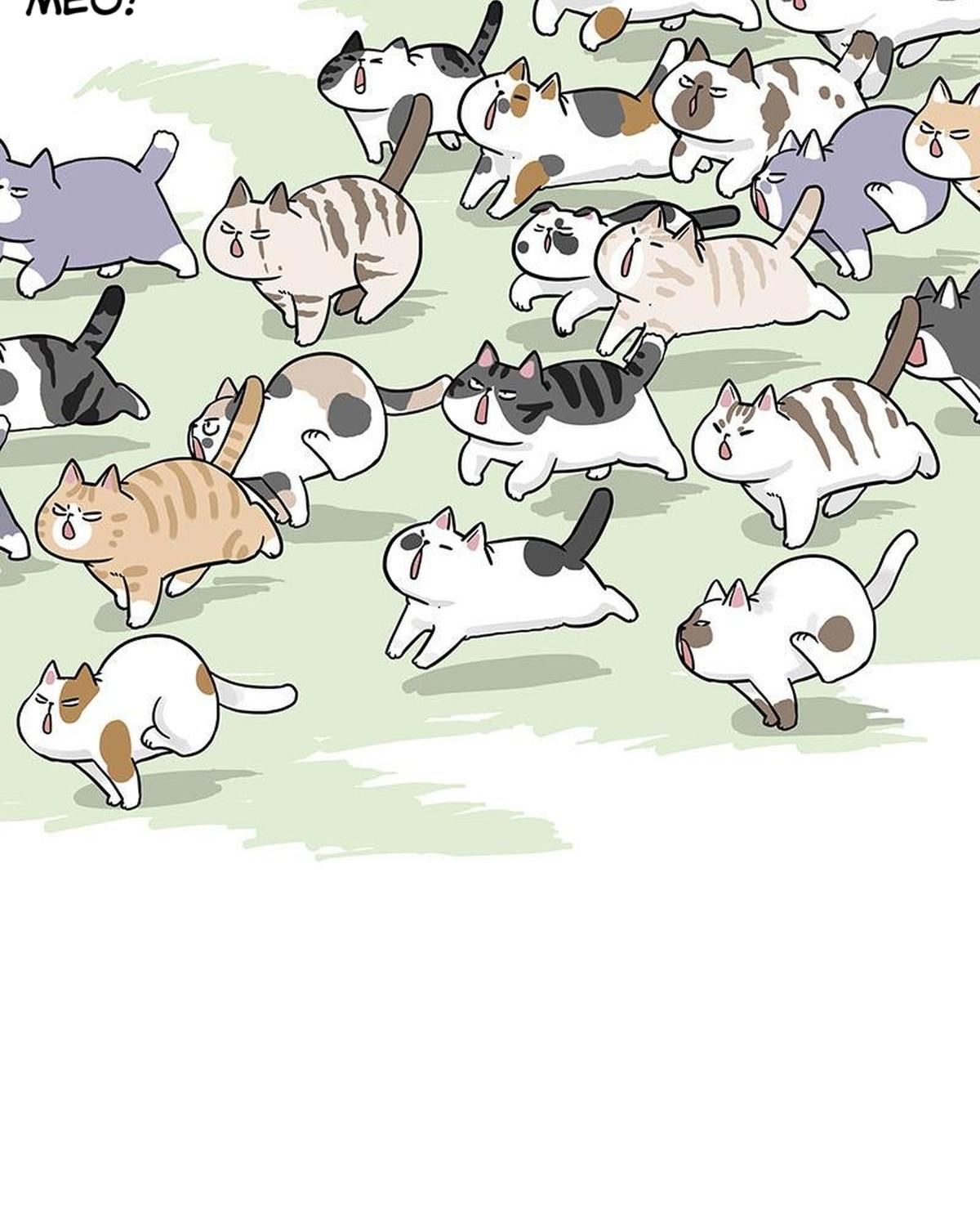 Hoàng Thượng Và Ba Trát Hắc Chapter 271 - Trang 2