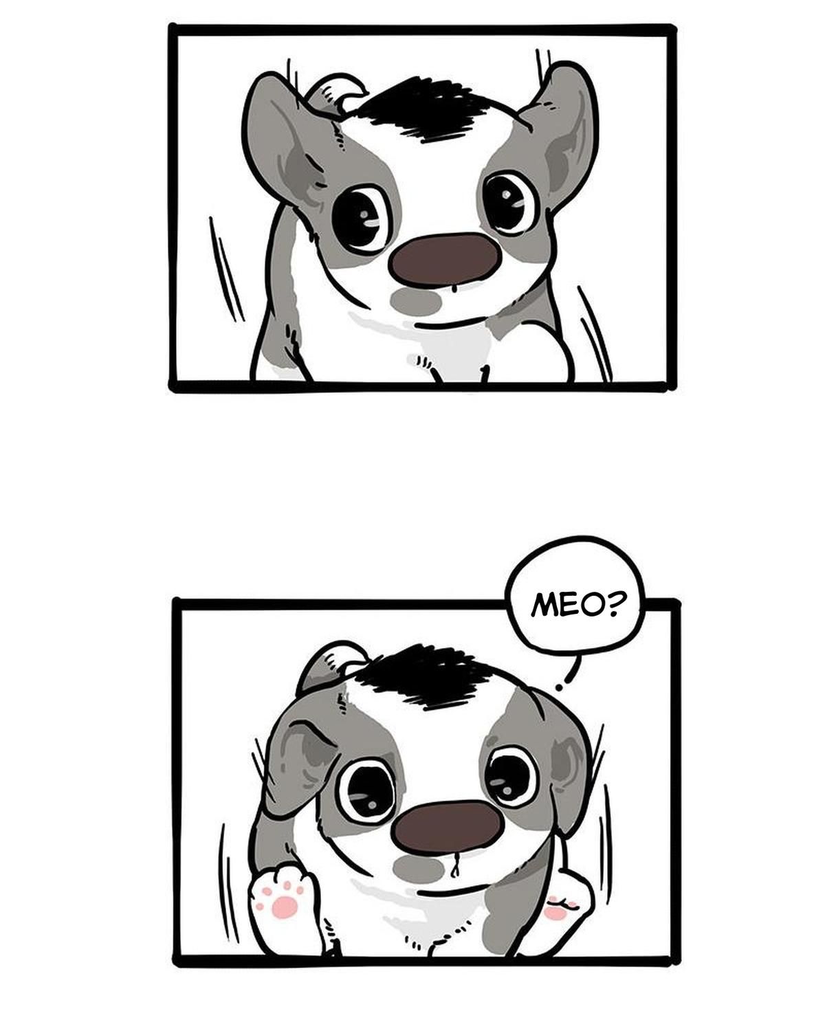 Hoàng Thượng Và Ba Trát Hắc Chapter 271 - Trang 2