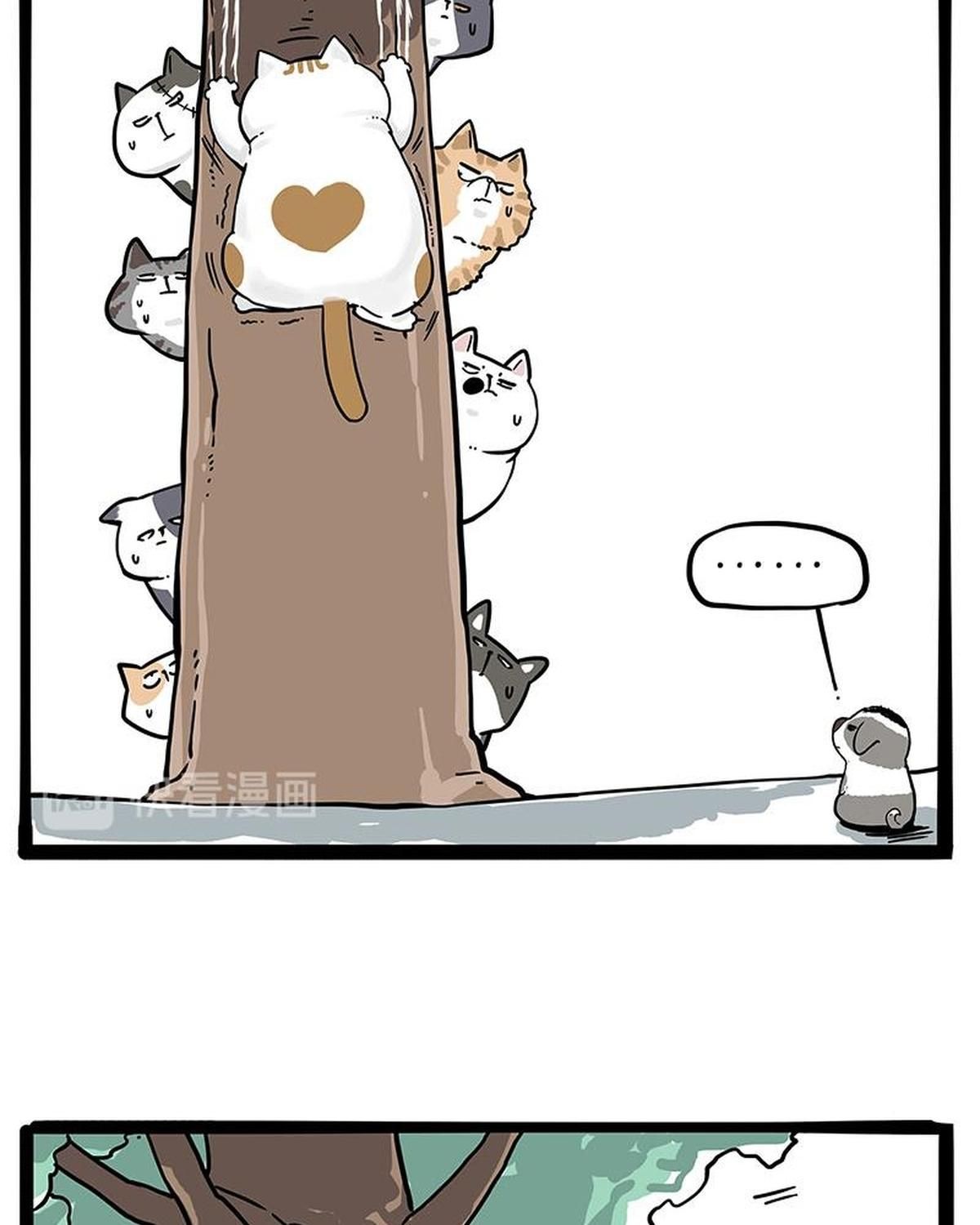 Hoàng Thượng Và Ba Trát Hắc Chapter 271 - Trang 2