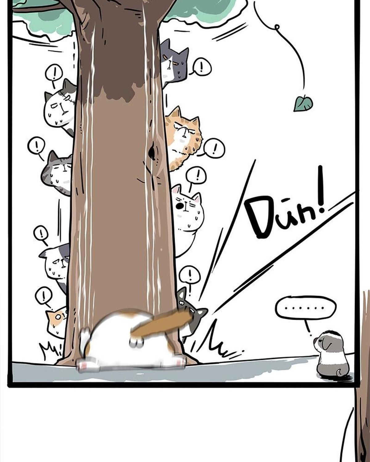 Hoàng Thượng Và Ba Trát Hắc Chapter 271 - Trang 2