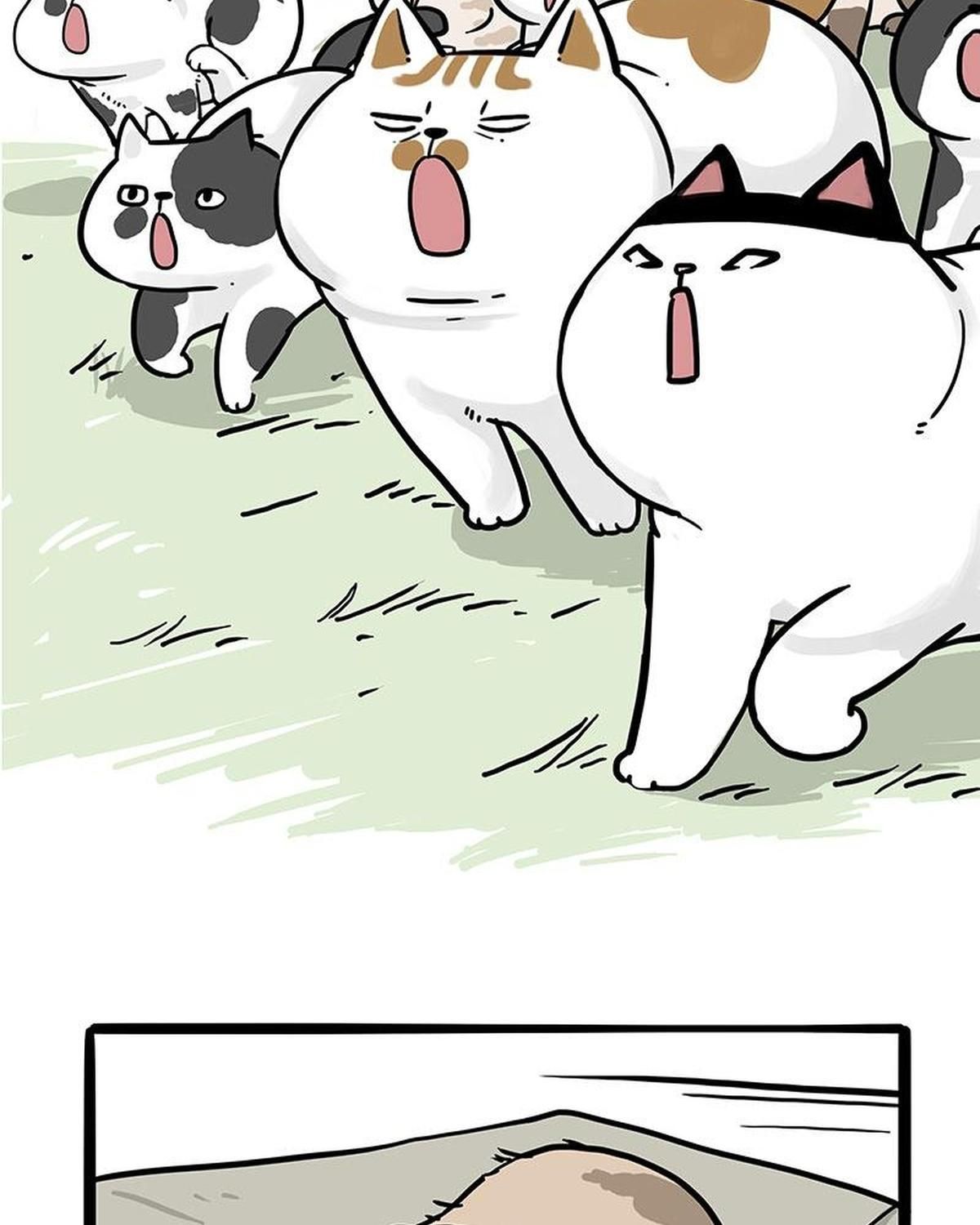 Hoàng Thượng Và Ba Trát Hắc Chapter 272 - Trang 2