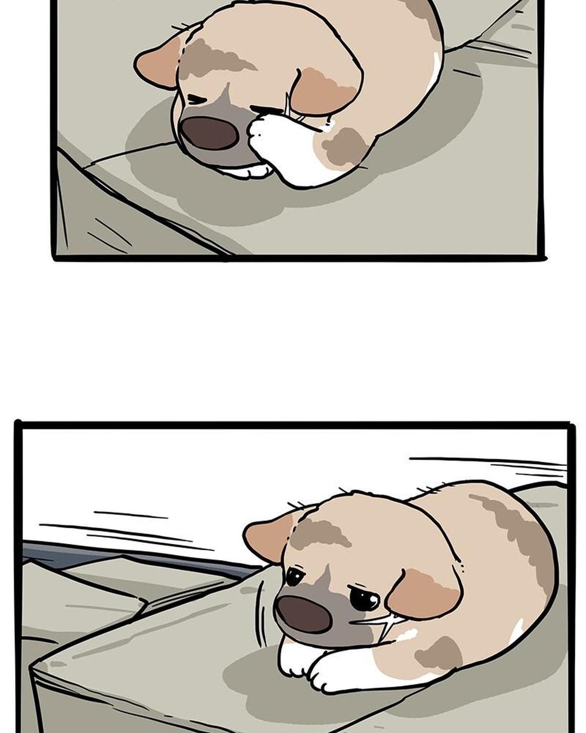 Hoàng Thượng Và Ba Trát Hắc Chapter 272 - Trang 2