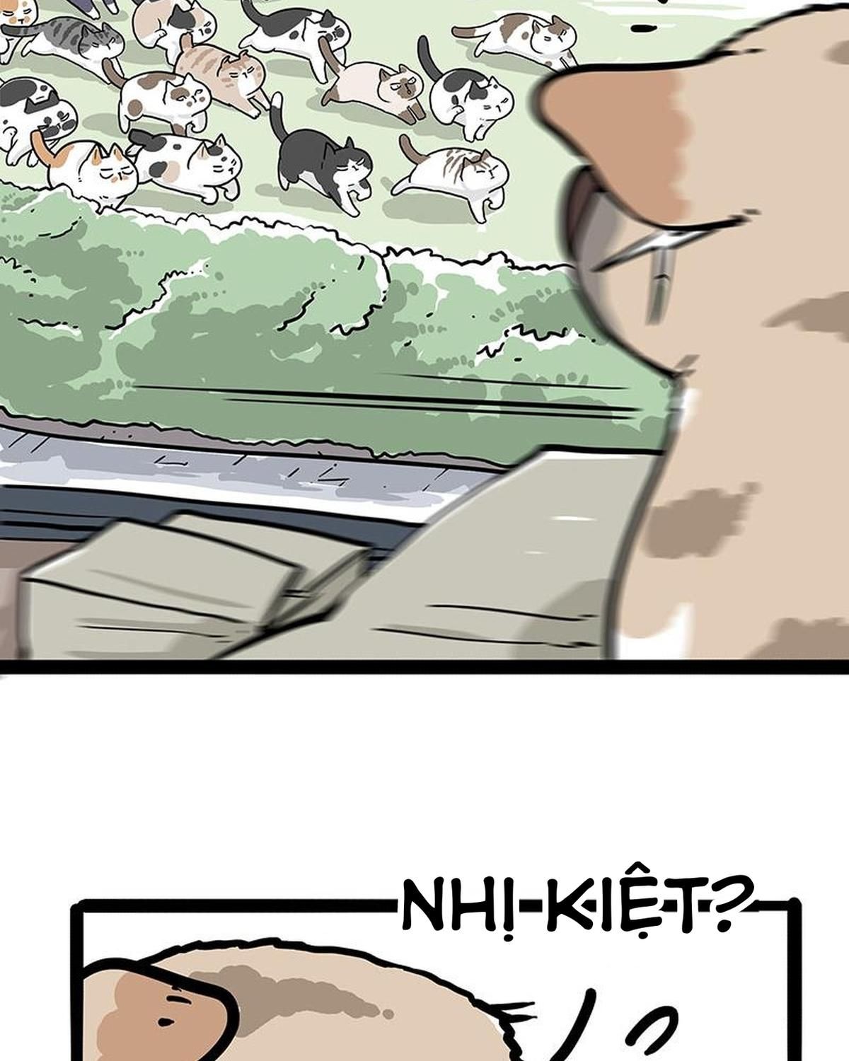 Hoàng Thượng Và Ba Trát Hắc Chapter 272 - Trang 2