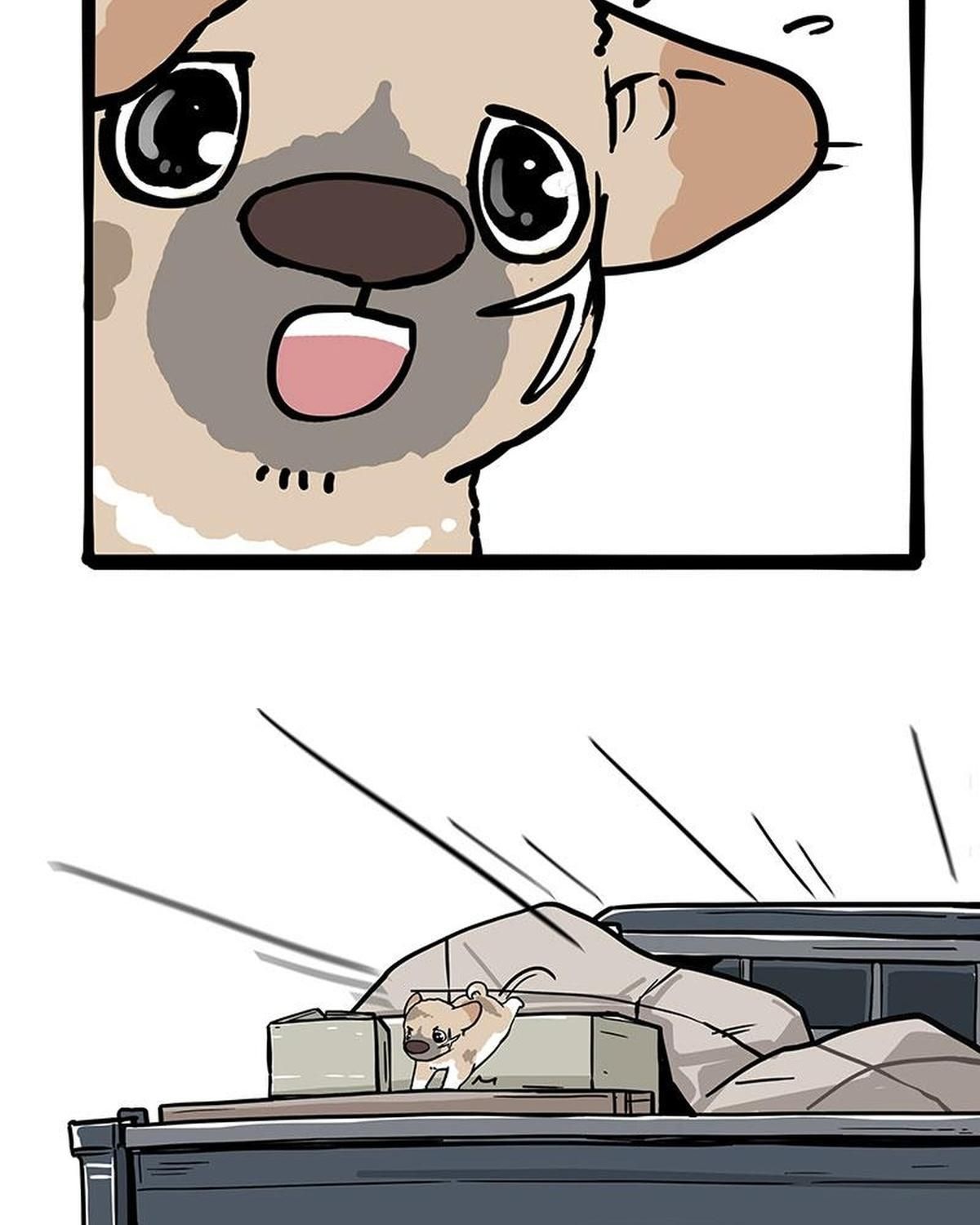 Hoàng Thượng Và Ba Trát Hắc Chapter 272 - Trang 2