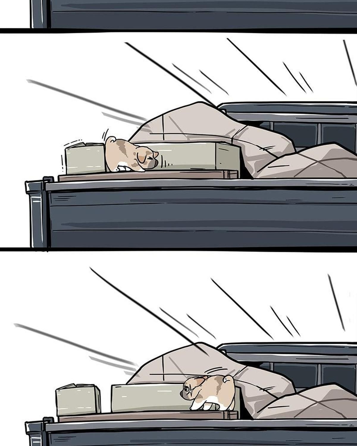 Hoàng Thượng Và Ba Trát Hắc Chapter 272 - Trang 2