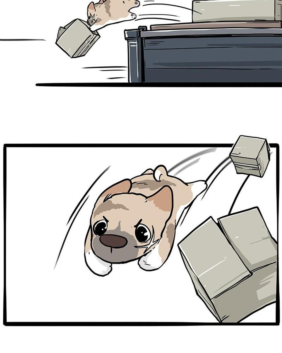 Hoàng Thượng Và Ba Trát Hắc Chapter 272 - Trang 2