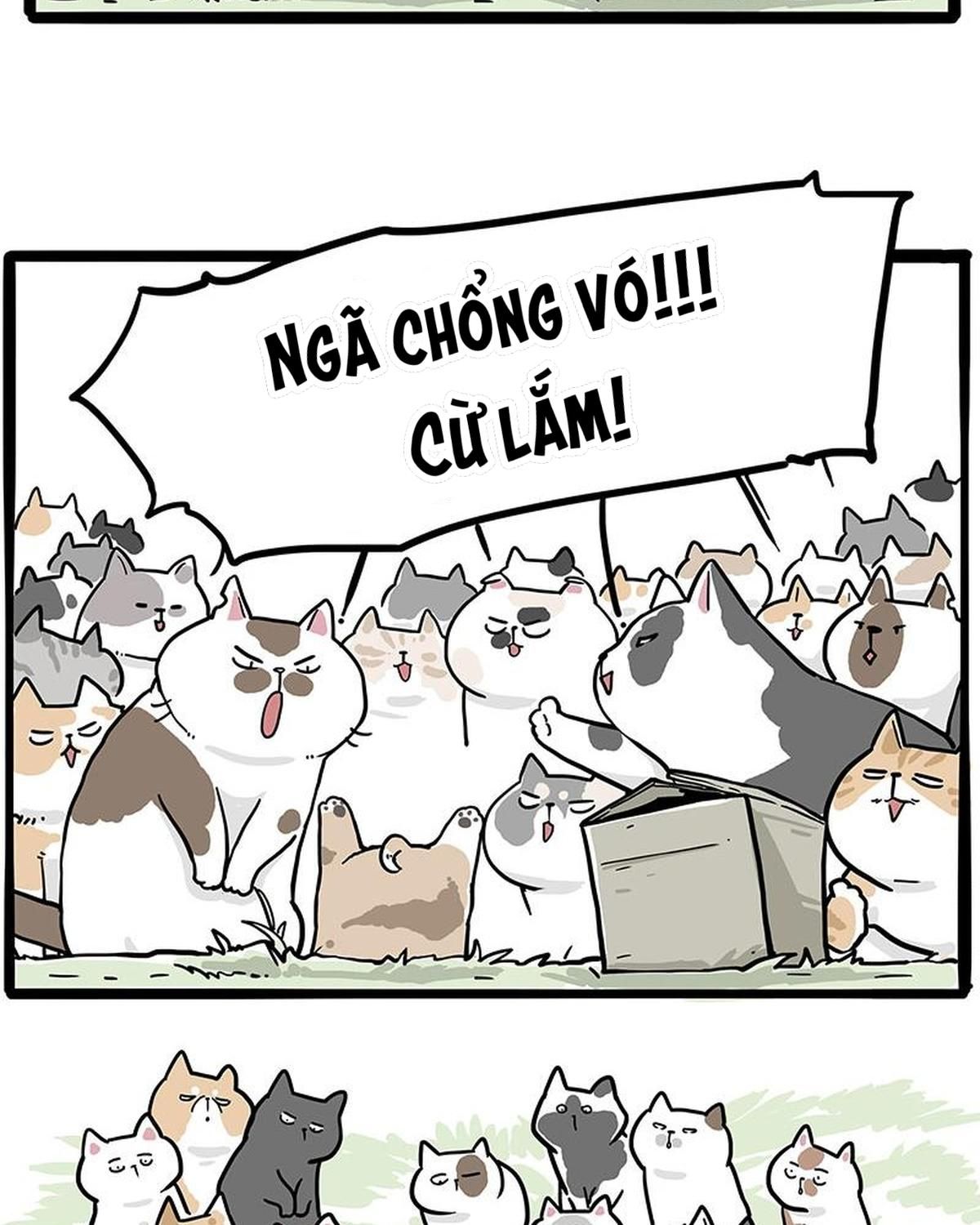 Hoàng Thượng Và Ba Trát Hắc Chapter 272 - Trang 2