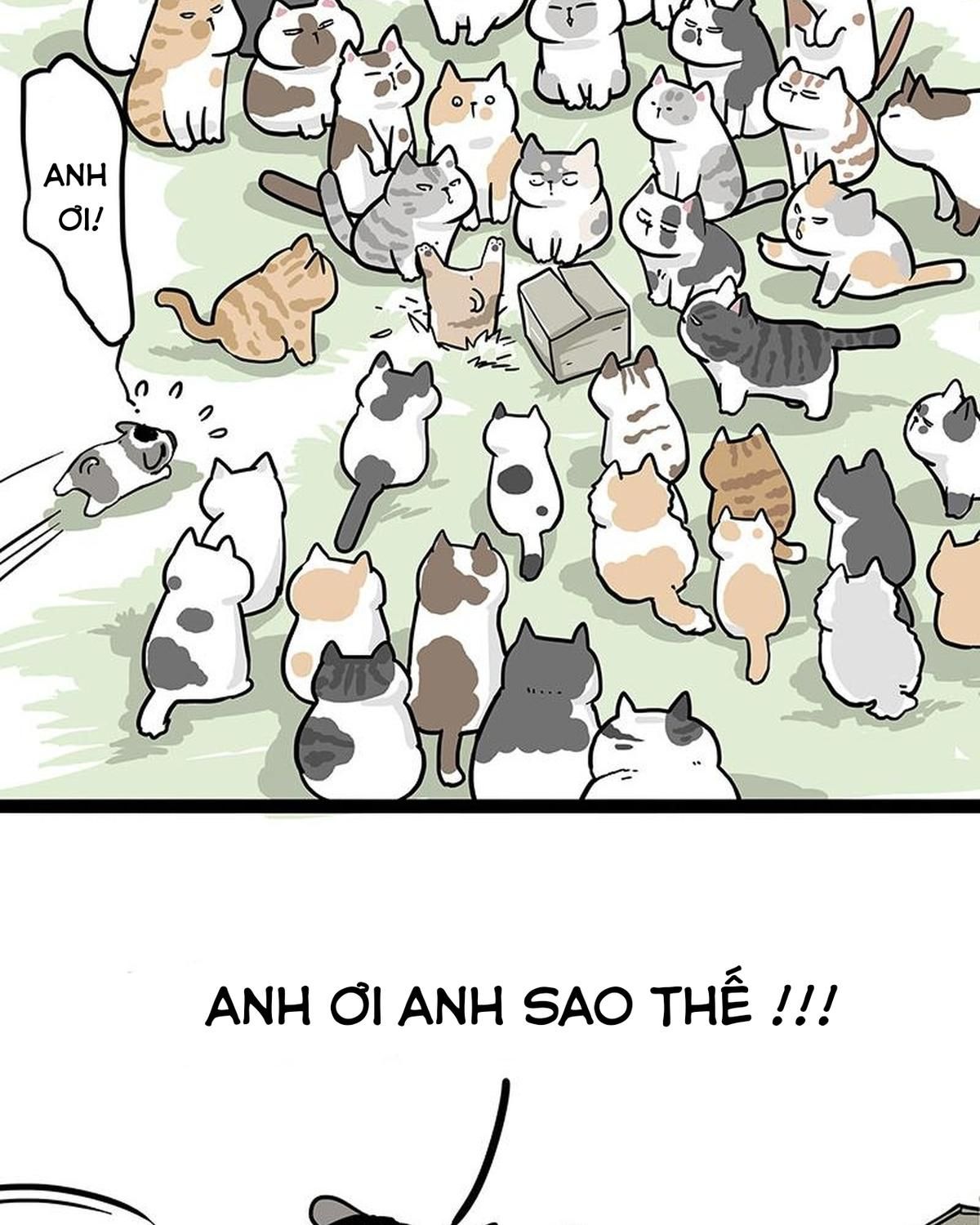 Hoàng Thượng Và Ba Trát Hắc Chapter 272 - Trang 2