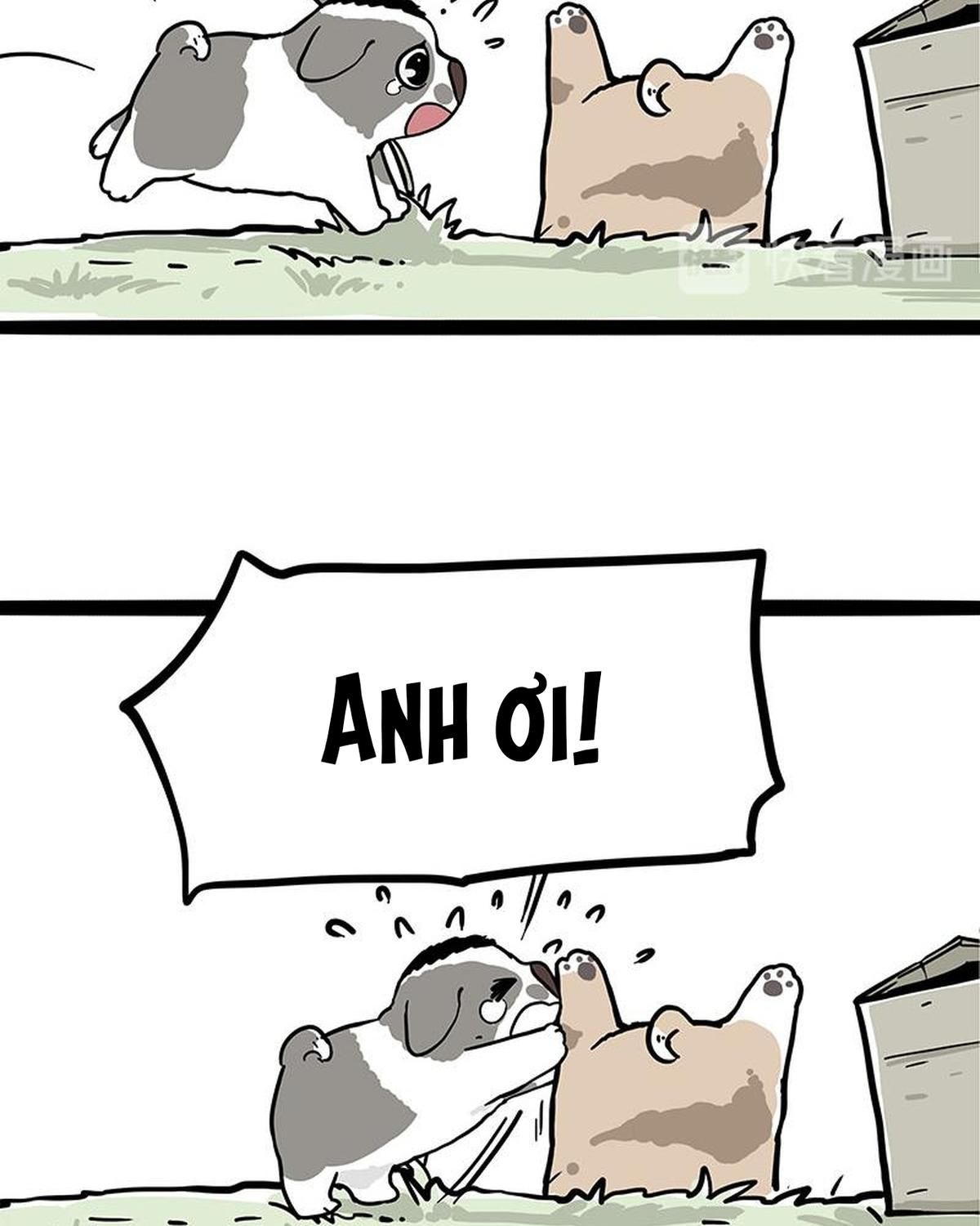 Hoàng Thượng Và Ba Trát Hắc Chapter 272 - Trang 2