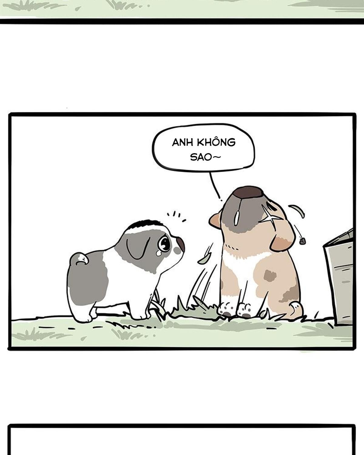 Hoàng Thượng Và Ba Trát Hắc Chapter 272 - Trang 2