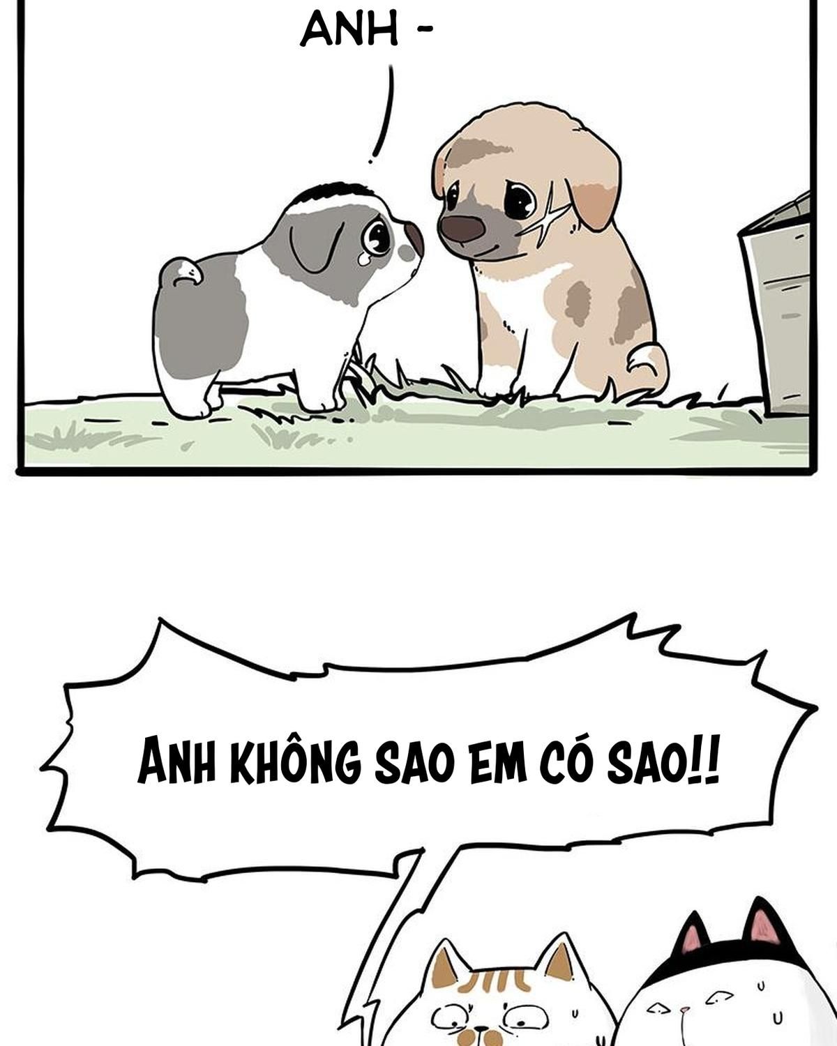 Hoàng Thượng Và Ba Trát Hắc Chapter 272 - Trang 2