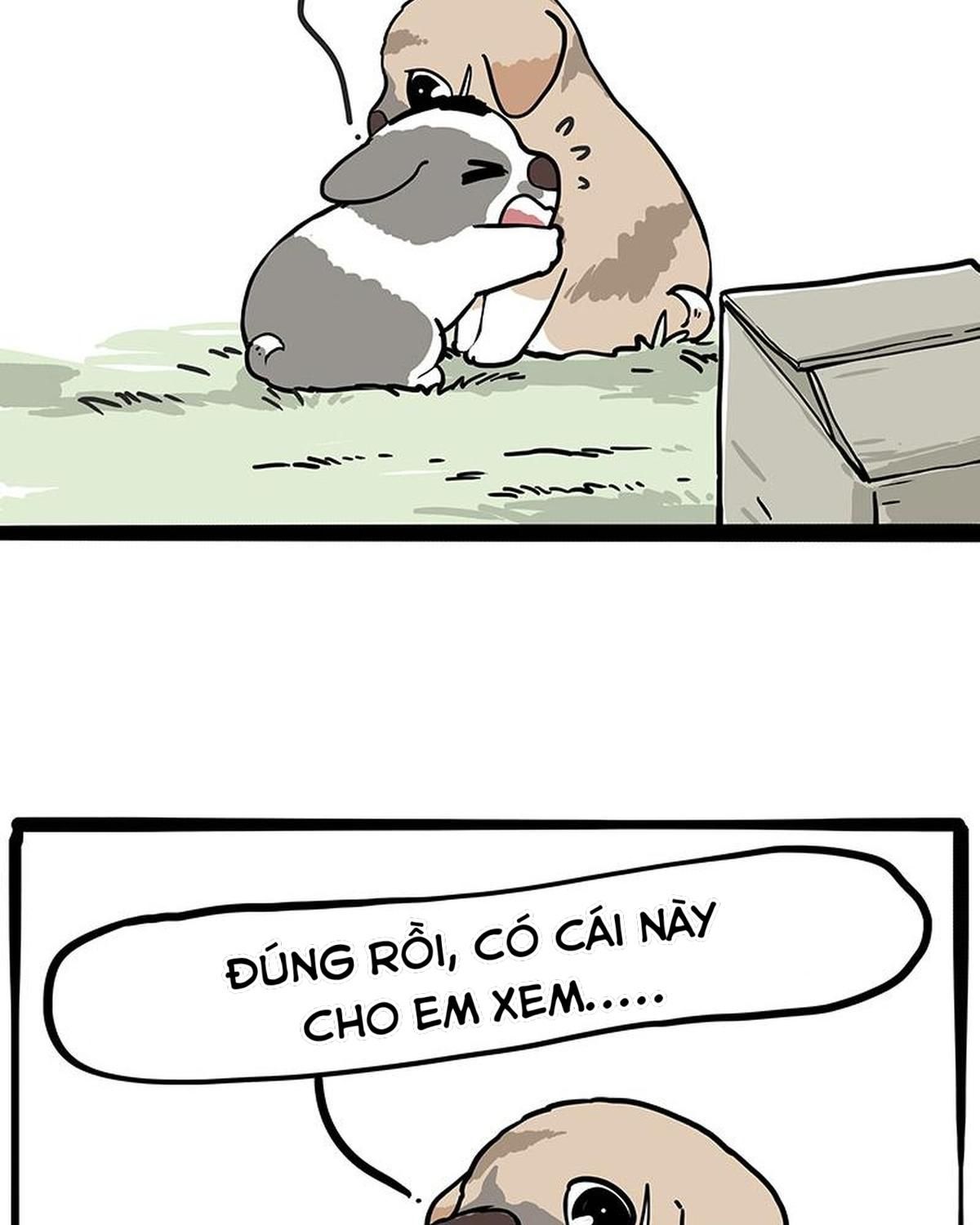 Hoàng Thượng Và Ba Trát Hắc Chapter 272 - Trang 2