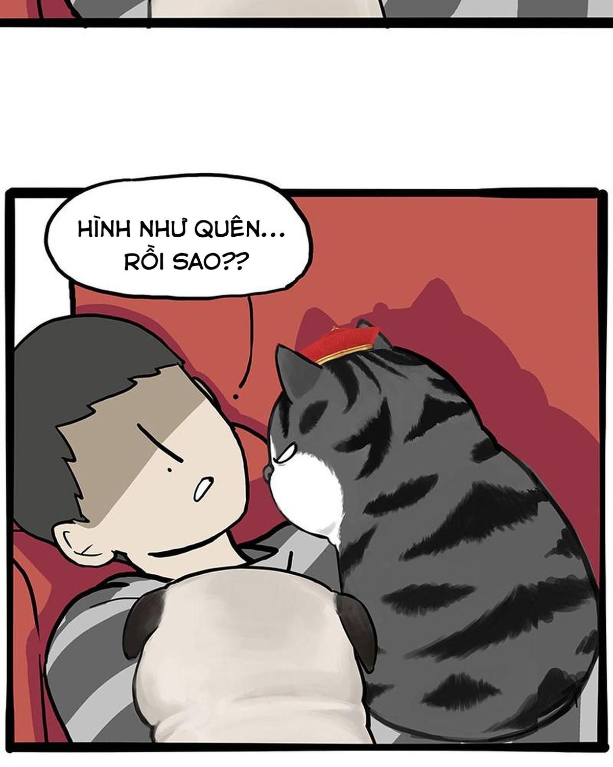 Hoàng Thượng Và Ba Trát Hắc Chapter 272 - Trang 2