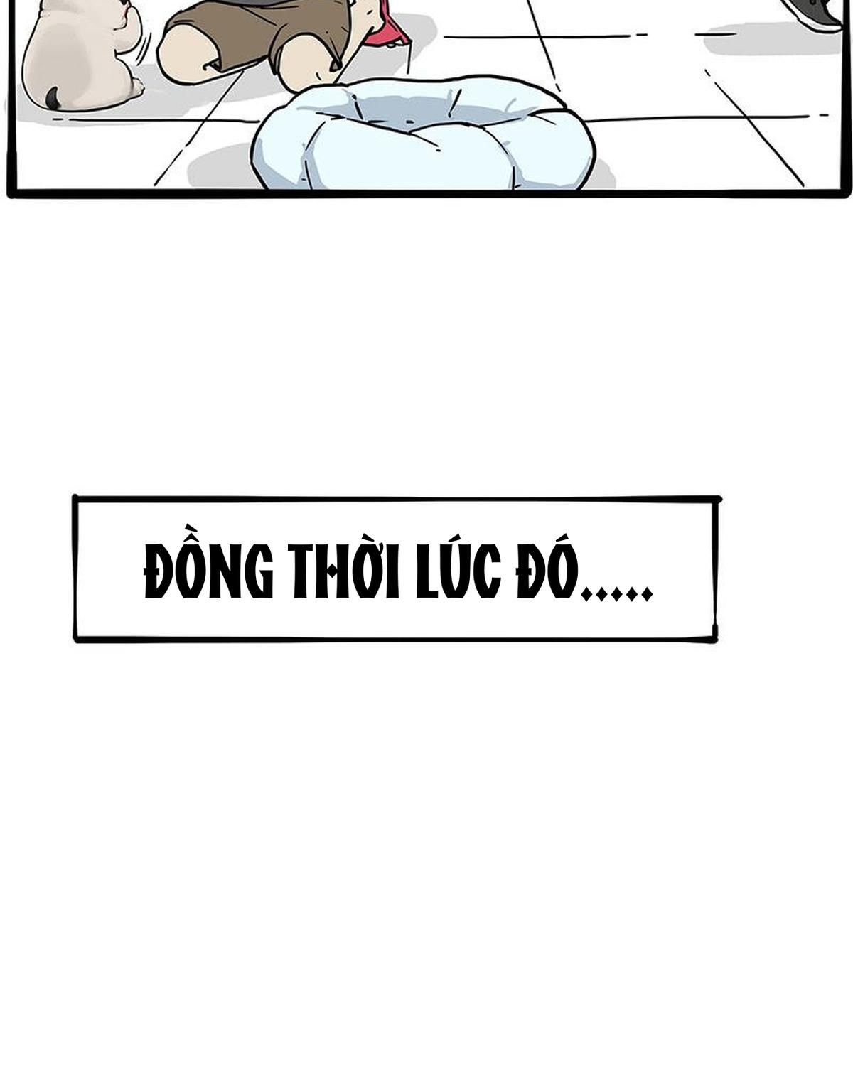 Hoàng Thượng Và Ba Trát Hắc Chapter 272 - Trang 2