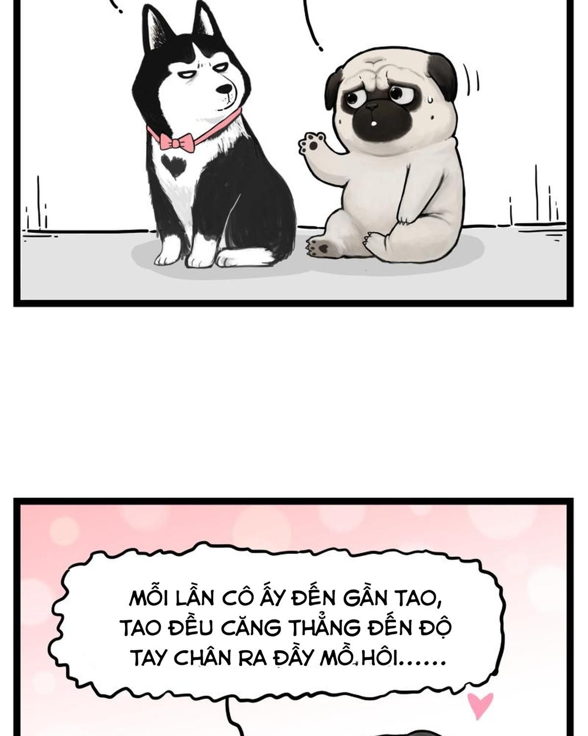 Hoàng Thượng Và Ba Trát Hắc Chapter 273 - Trang 2