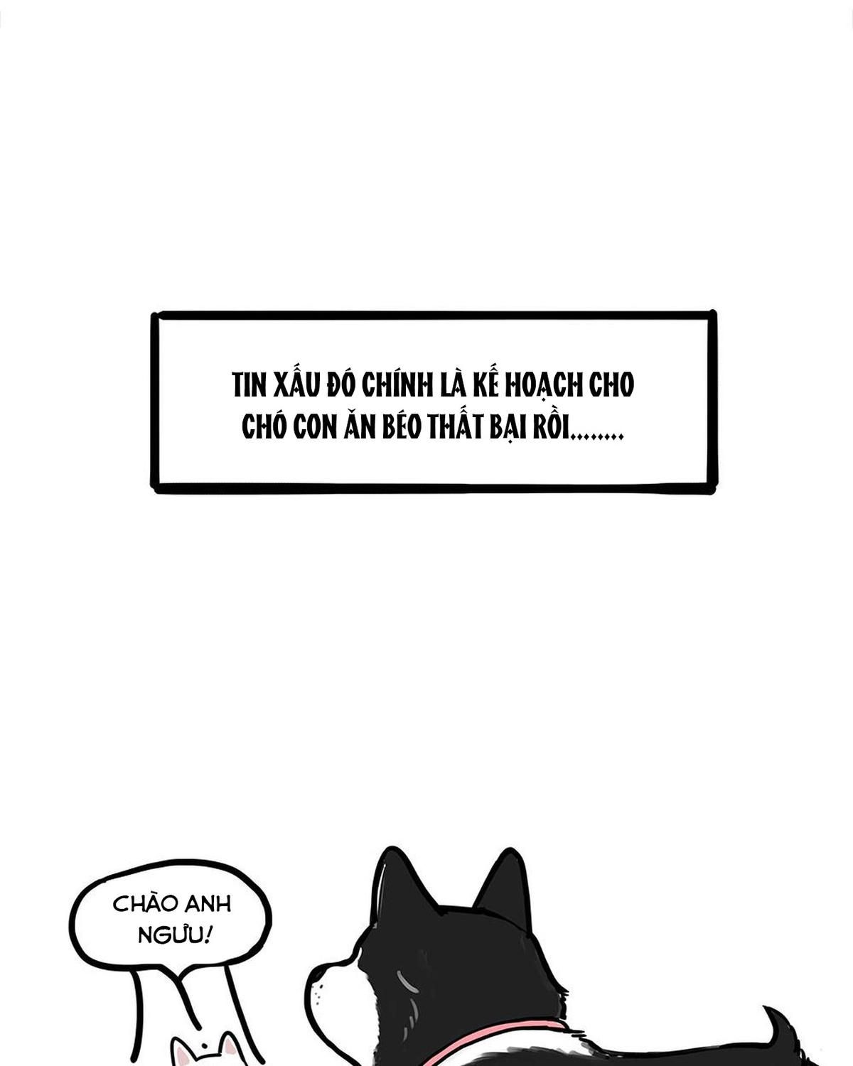 Hoàng Thượng Và Ba Trát Hắc Chapter 438 - Trang 2