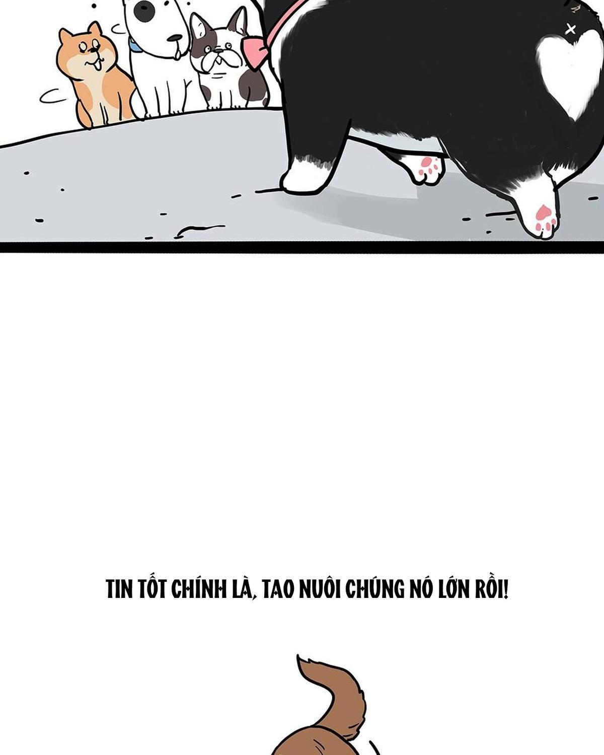 Hoàng Thượng Và Ba Trát Hắc Chapter 438 - Trang 2